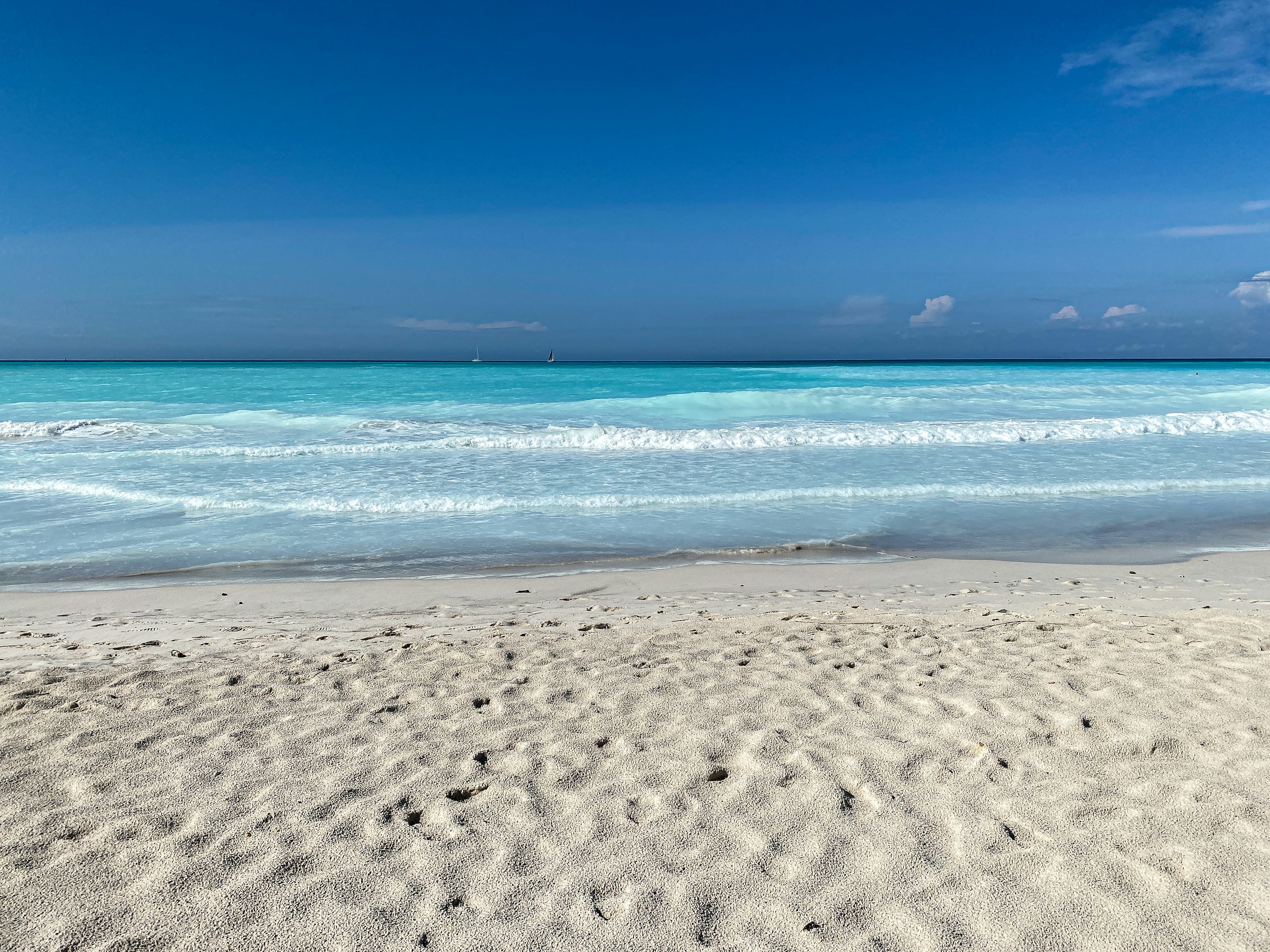 大藏(大蔵)陽平：沖縄の海辺で要件定義｜フリーランスSEが体験した「旅する開発」