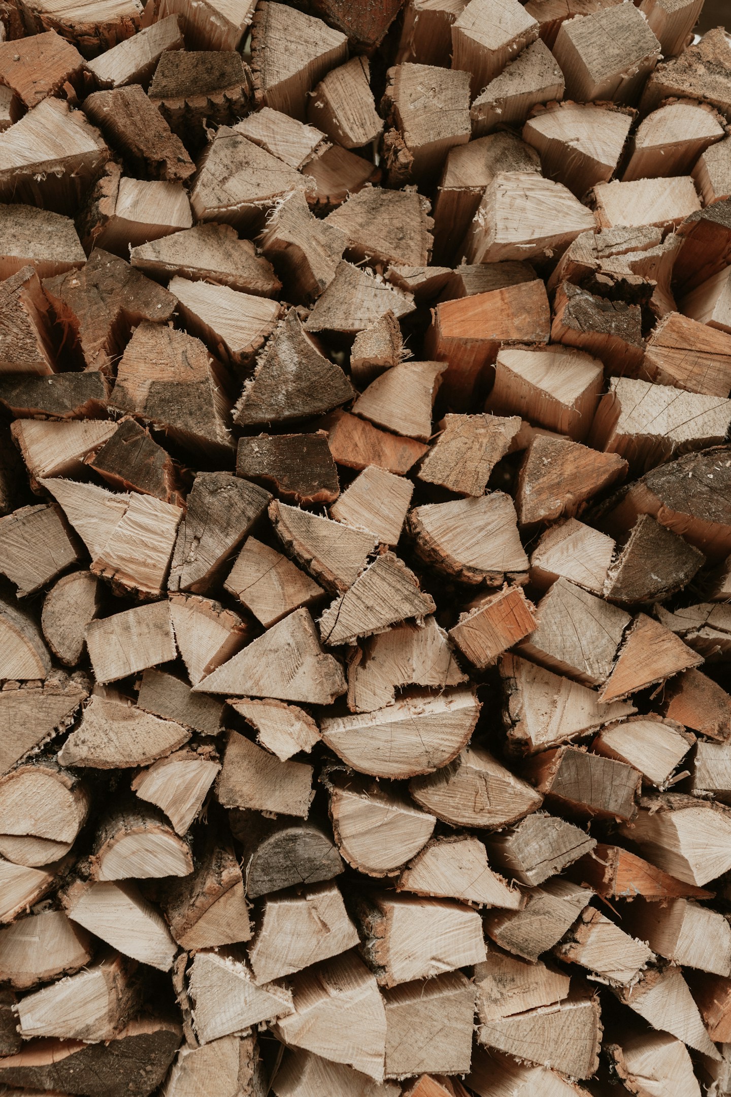 『半年ぶりの1本の電話が取締役 能登の人生を変えた』── 創業フェーズの一戸不動産で彼が見ている未来とは