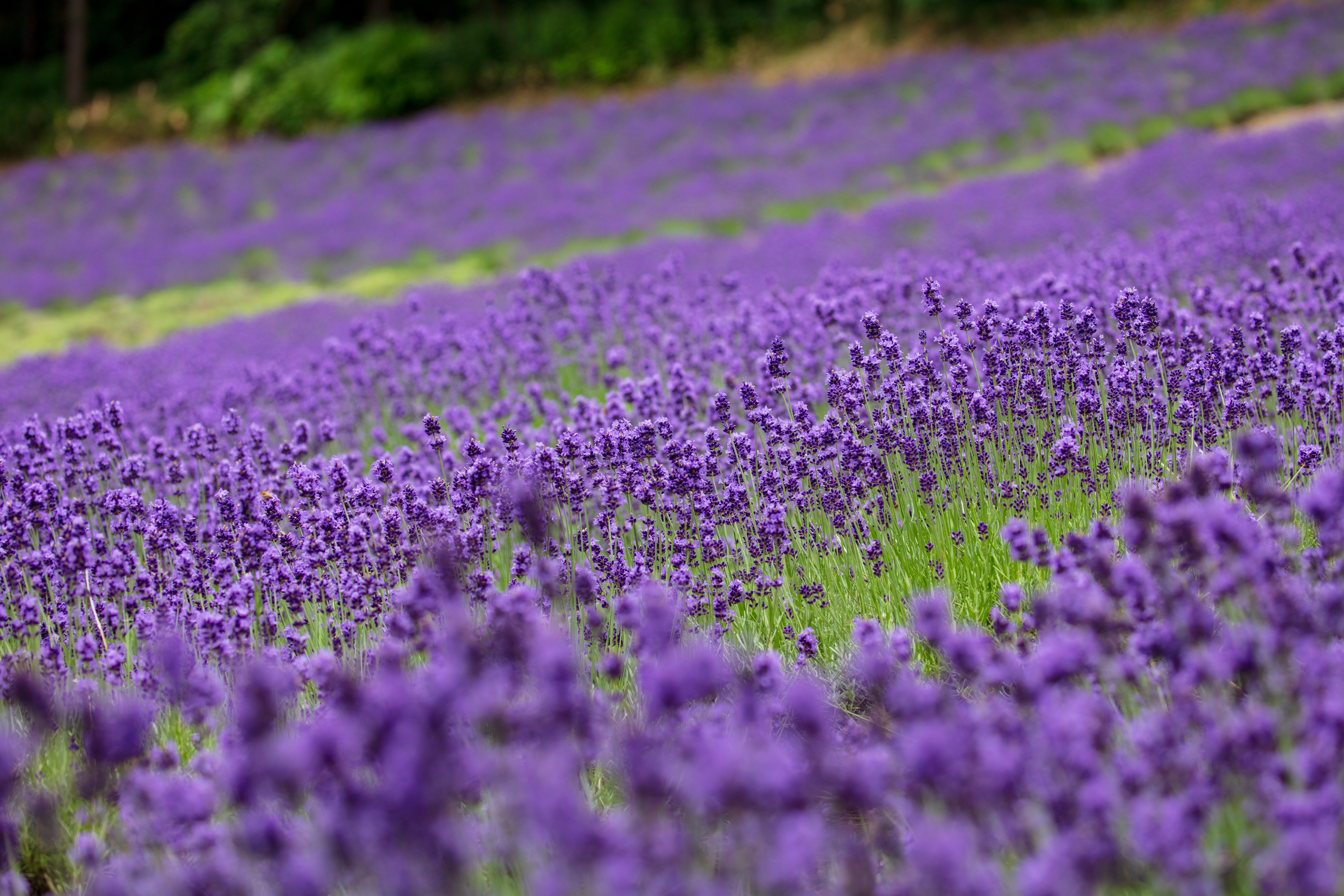 【社員の回顧】私がジェネスティに入社した理由