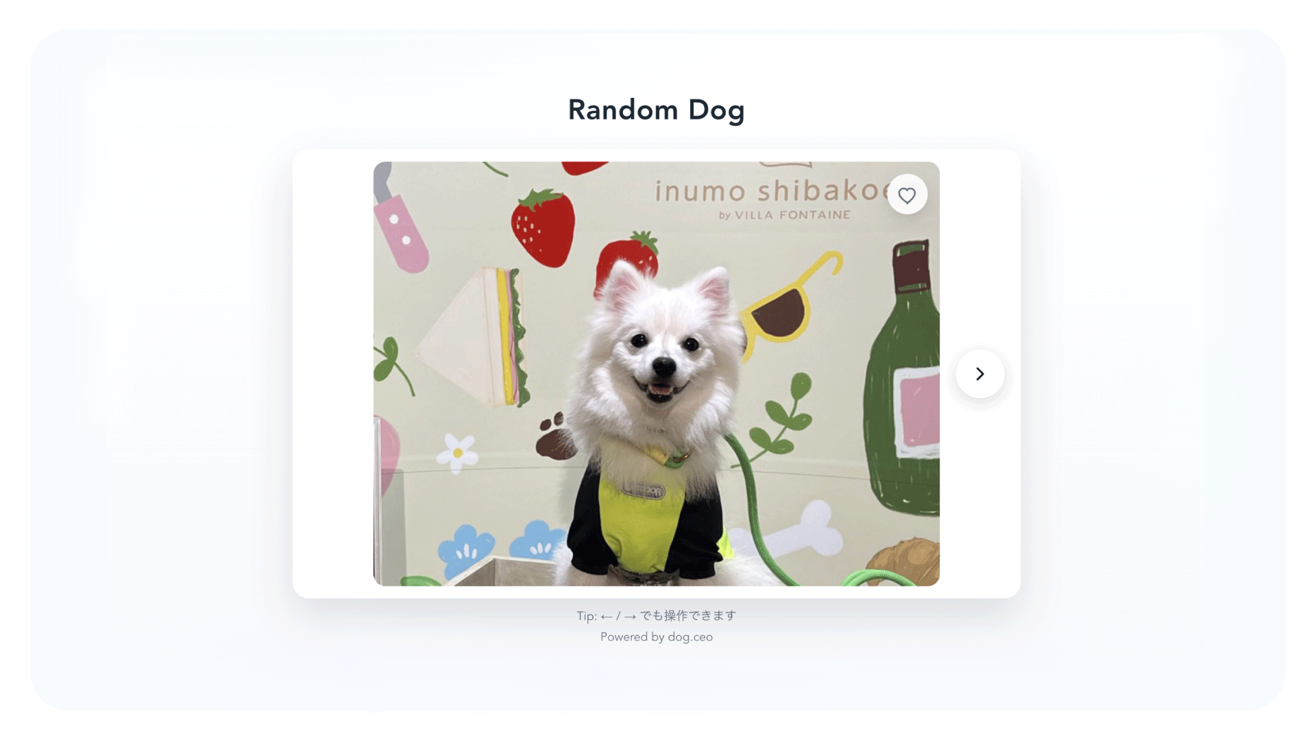 自作アプリでVuexに挑戦！リファクタリングで学ぶ状態管理の基礎＋localStorage対応