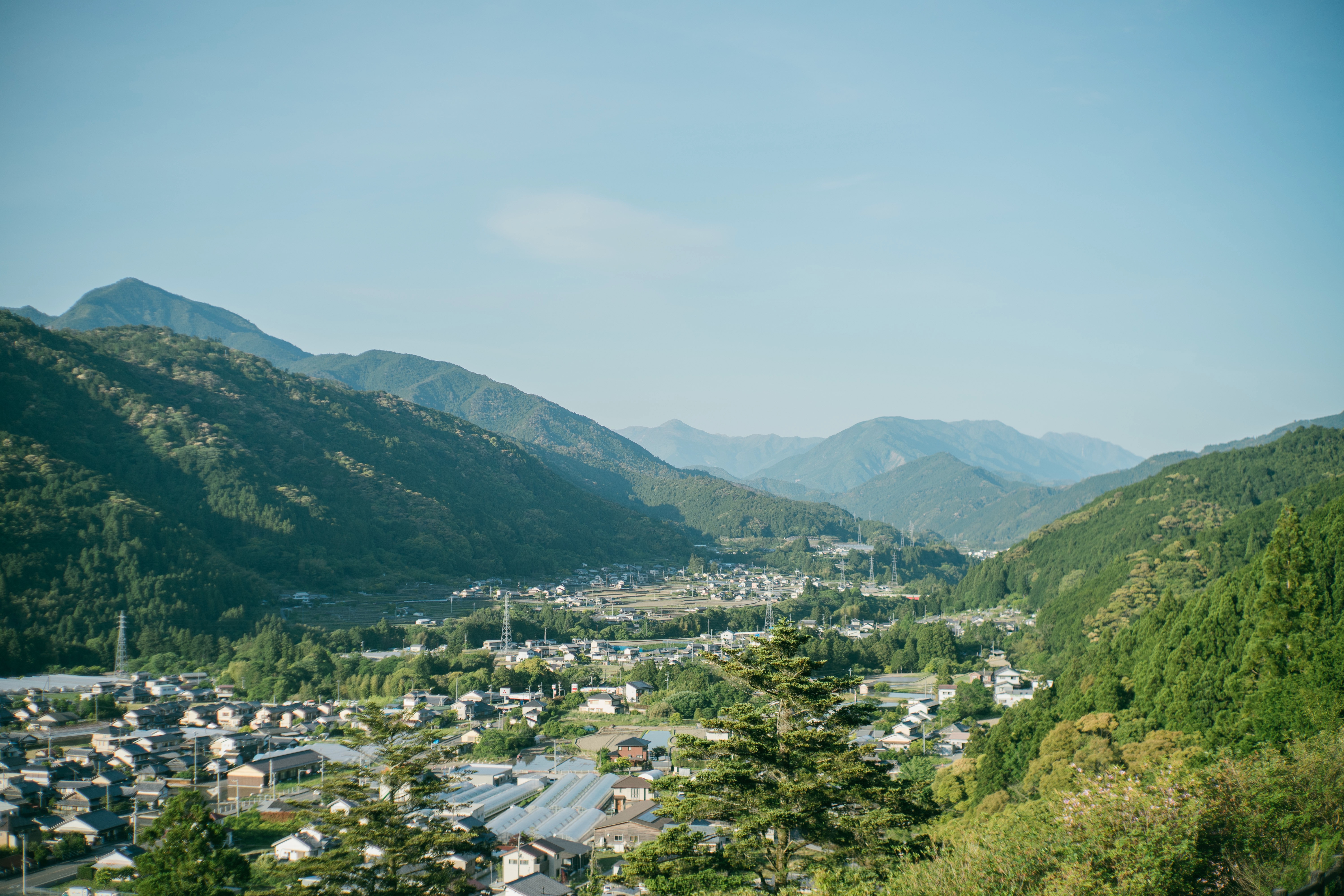 キャビンがつくる未来の里山～木のおはなし～