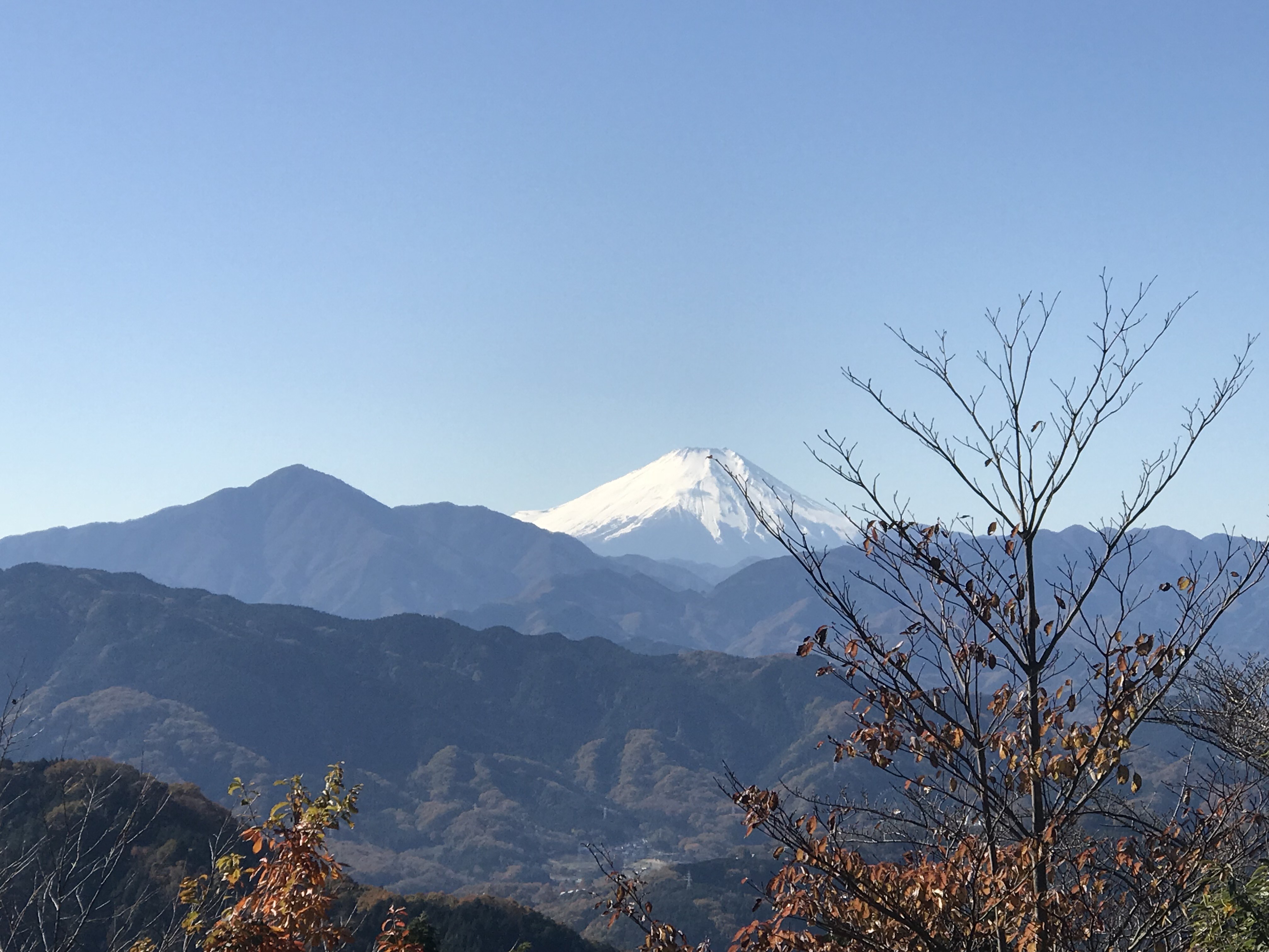 【社員紹介】グローバルな才能が輝く場所！日本の文化と技術に魅了されたエンジニアの軌跡