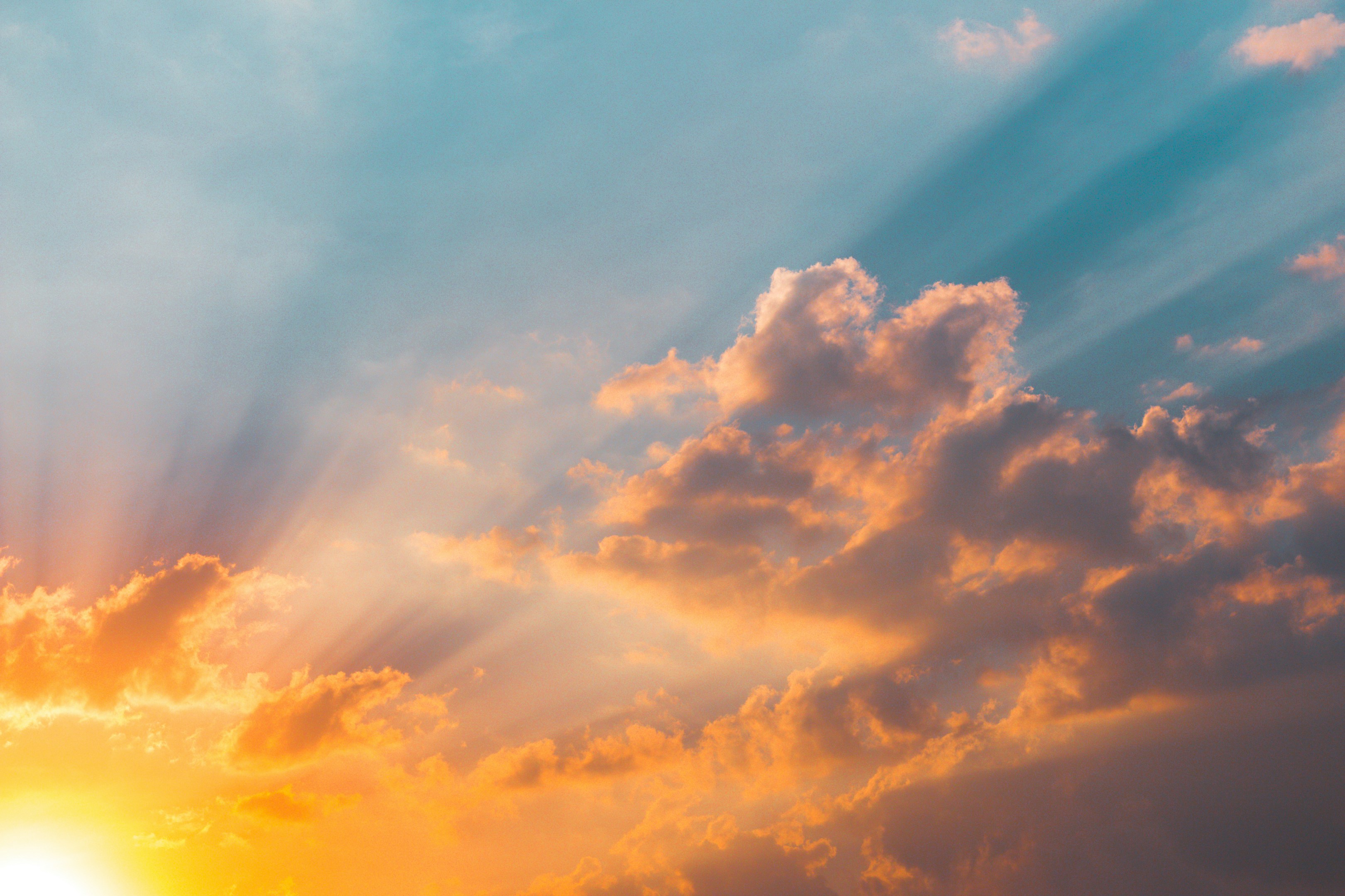 はじめまして！