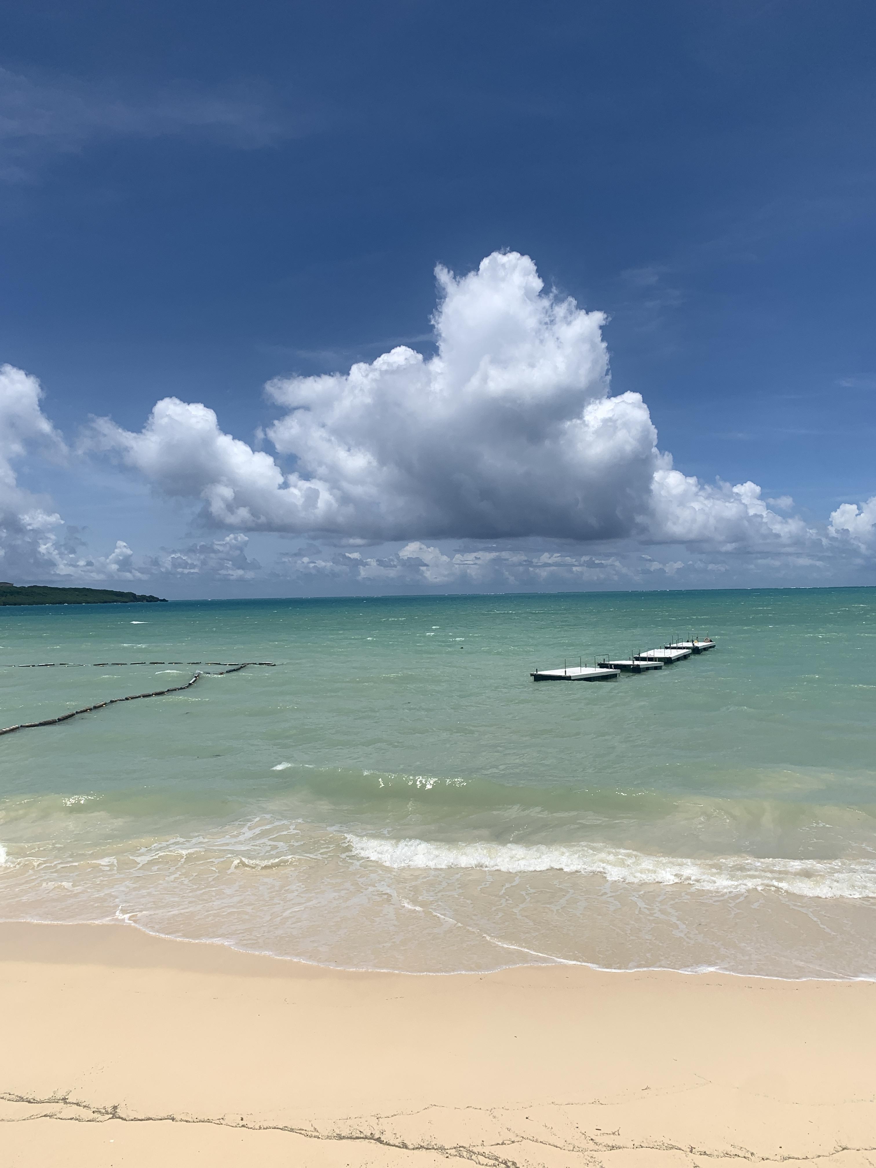 「家庭応援特別休暇」で有給がさらに1日増えた件