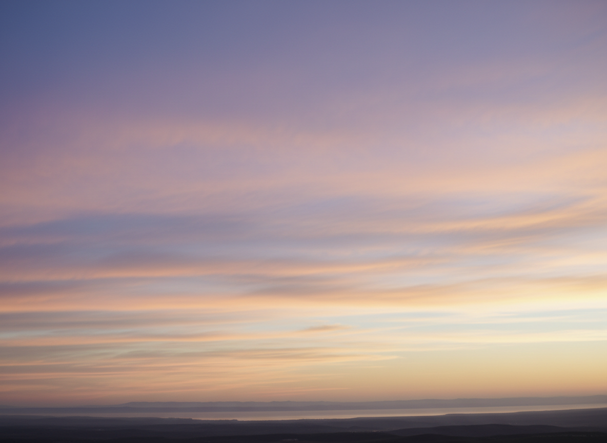 MVVを策定しました