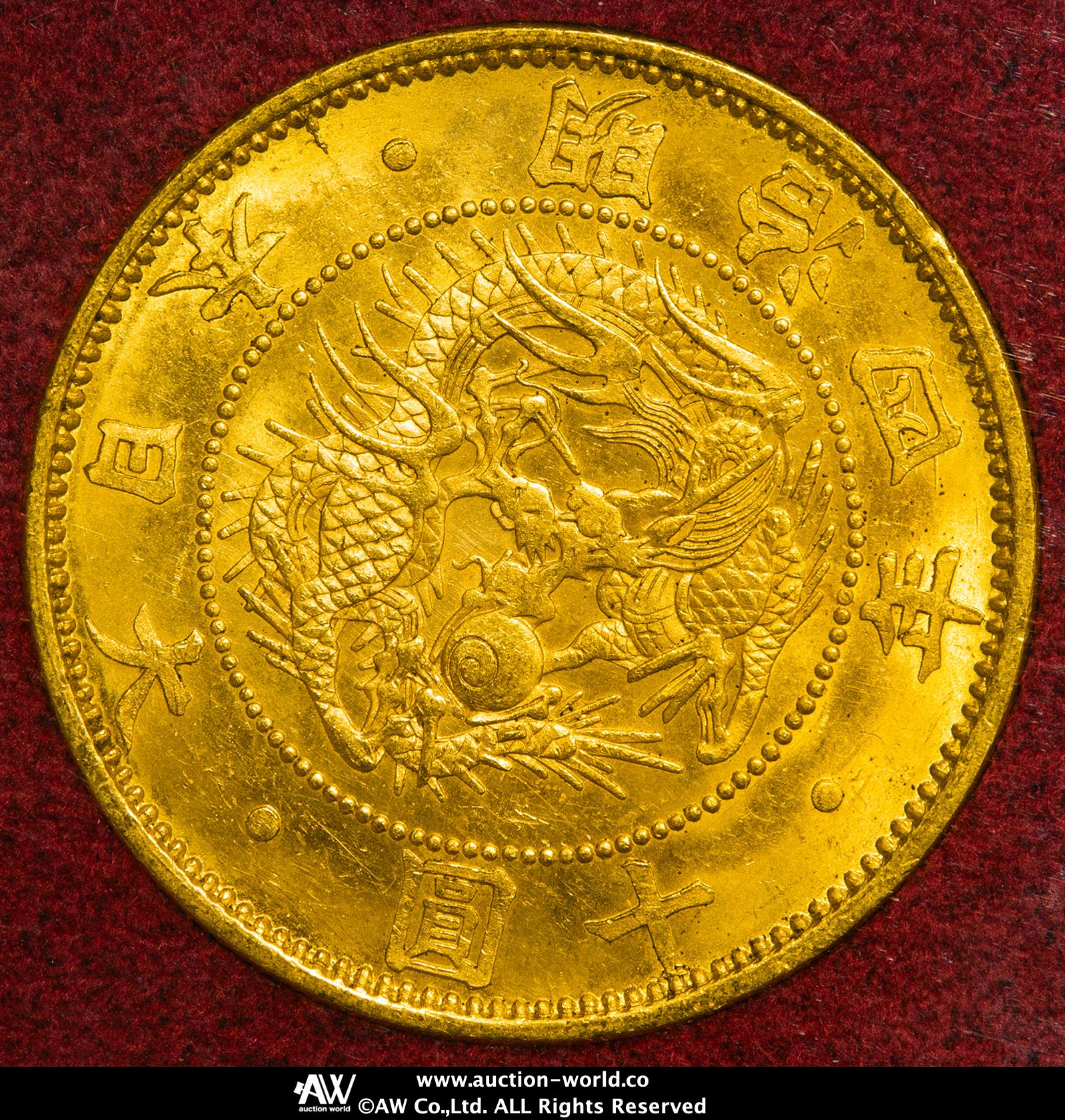 気づけば10年。知識ゼロから広がったコインの奥深い世界