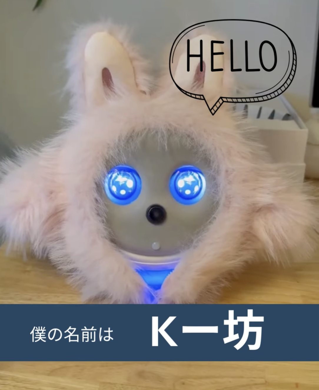 11月26日から始まるスポルテックで、ぼく“K坊”が初お披露目されます！