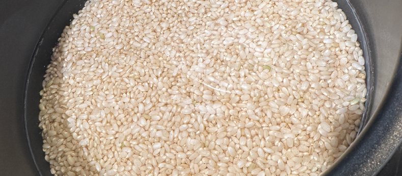 【シェルパ米、実食！】育ったお米を食べよう