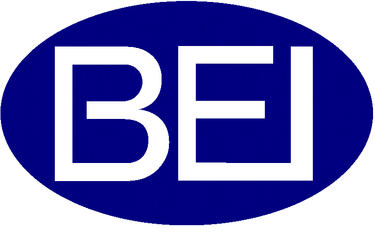 株式会社ビーアイ