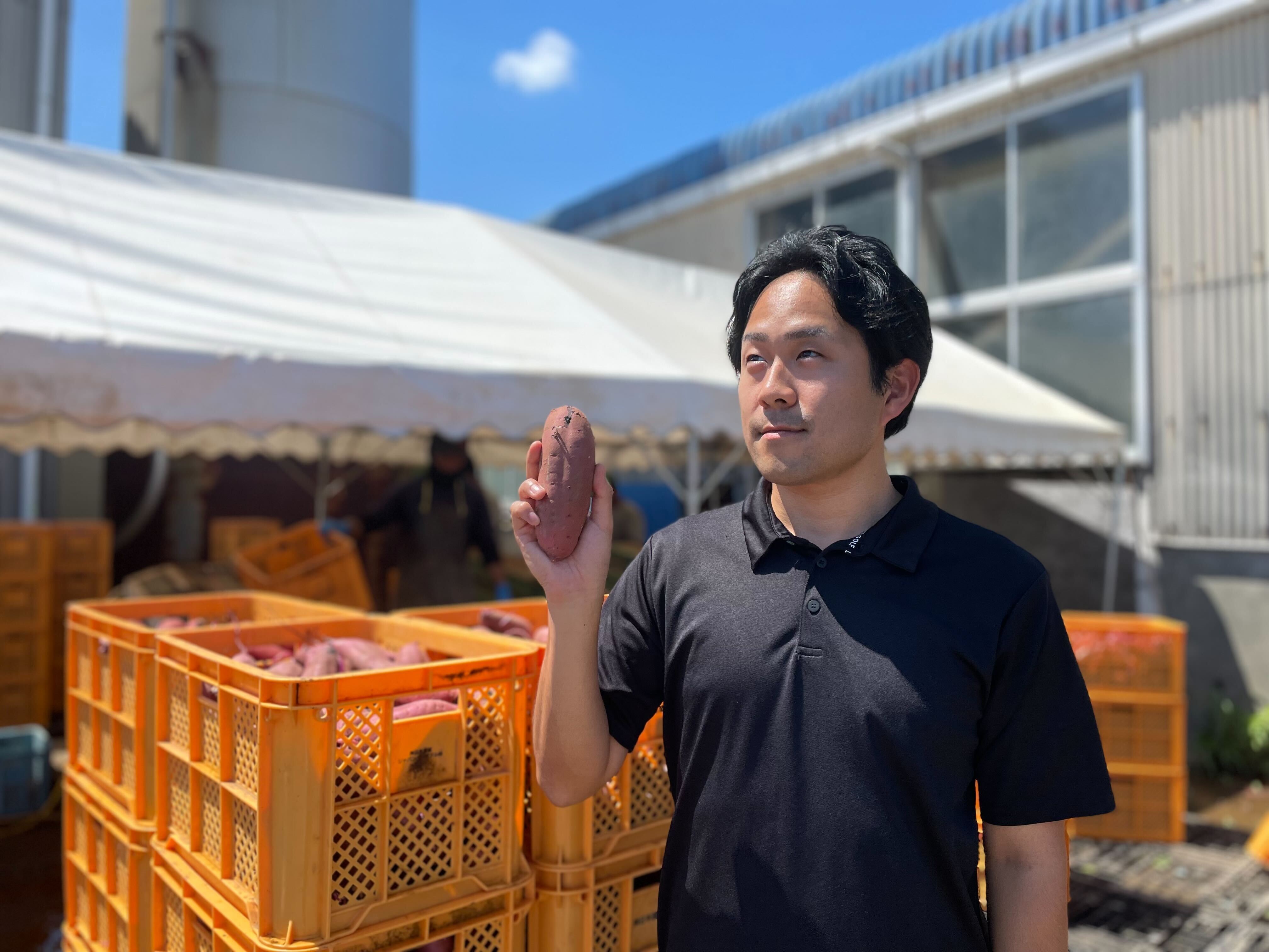 【社員インタビュー#46】流通事業本部 ベジタブル事業部 選果/流通課｜長谷田さん