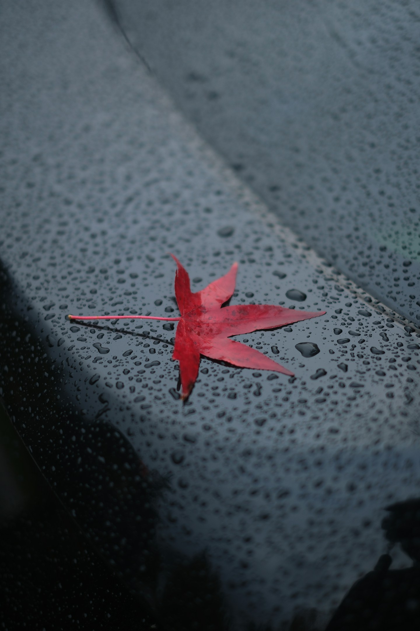 活動日記初投稿！