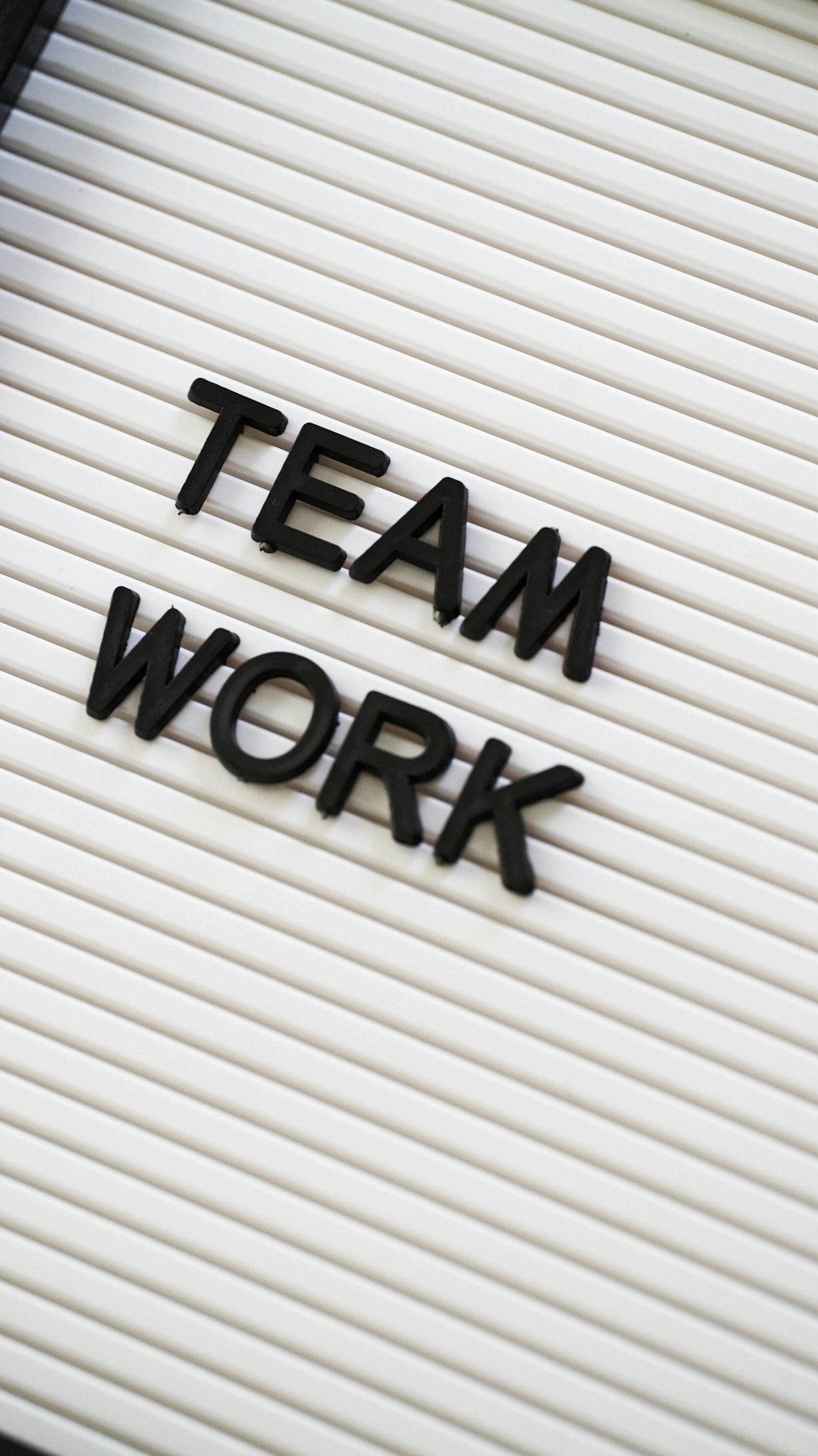 新しい仲間が増えました。　その２