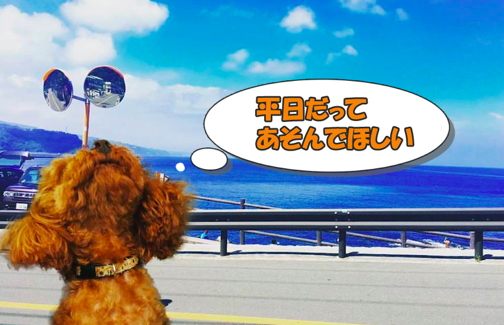 【UZUZ通信】ウズウズ働ける理由がある！有給取得率102%!?