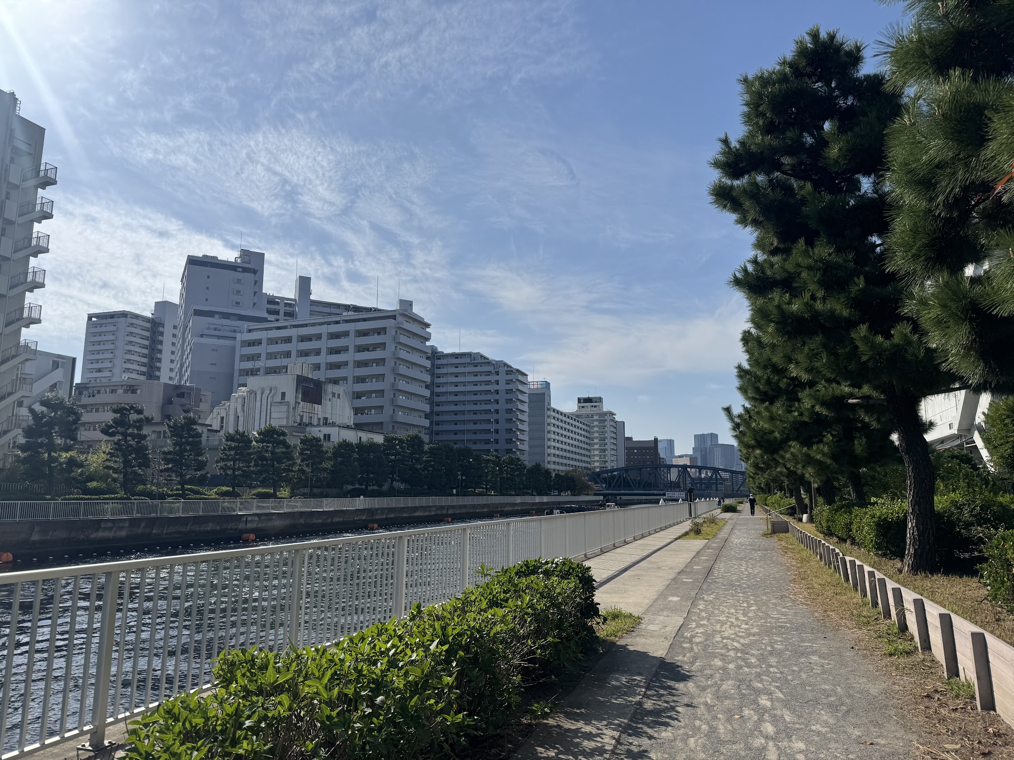 同僚がスマホを落とす瞬間を見たい