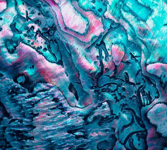 【INSIDE THE impact】節目を活かすPIVOTAL MOMENTS COLLECTION Bite-size実施レポート