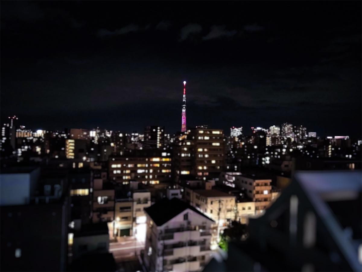 猿(フットサル)部 11月の活動報告