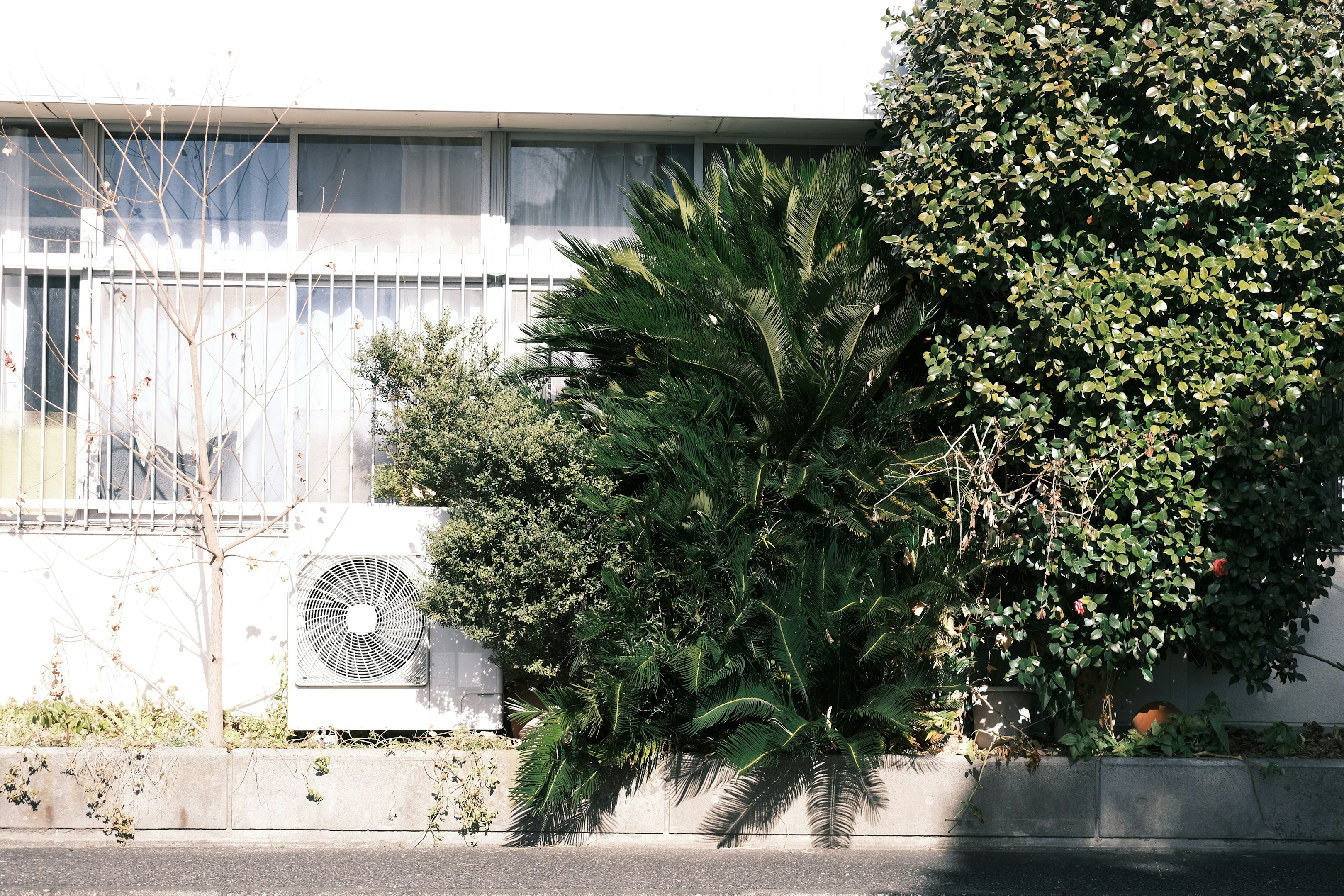 【栗山和暉】街角のIoTが変える未来