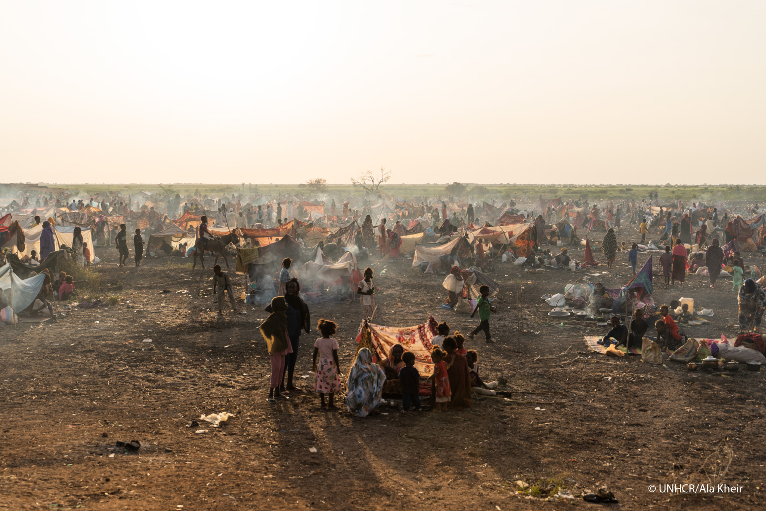 シェルターが足りない