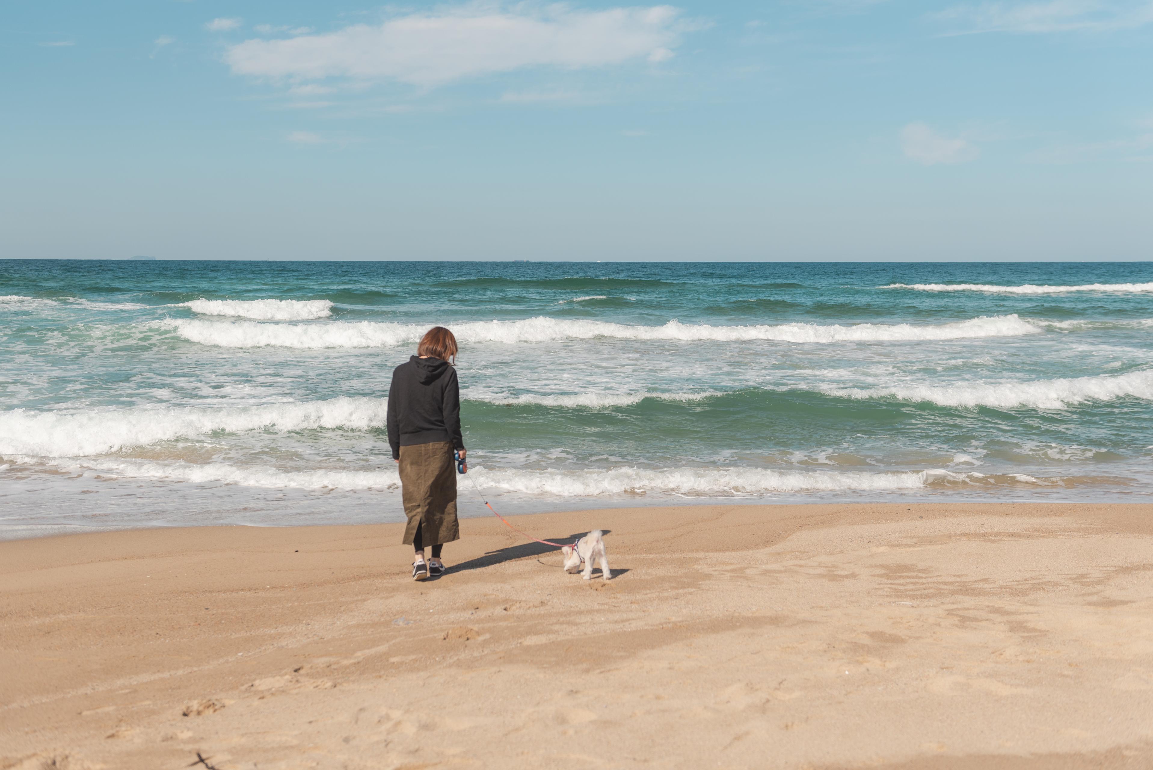 未経験のCSでデザイナー経験を発揮ービズ・クリエイションで掴んだ二刀流キャリア