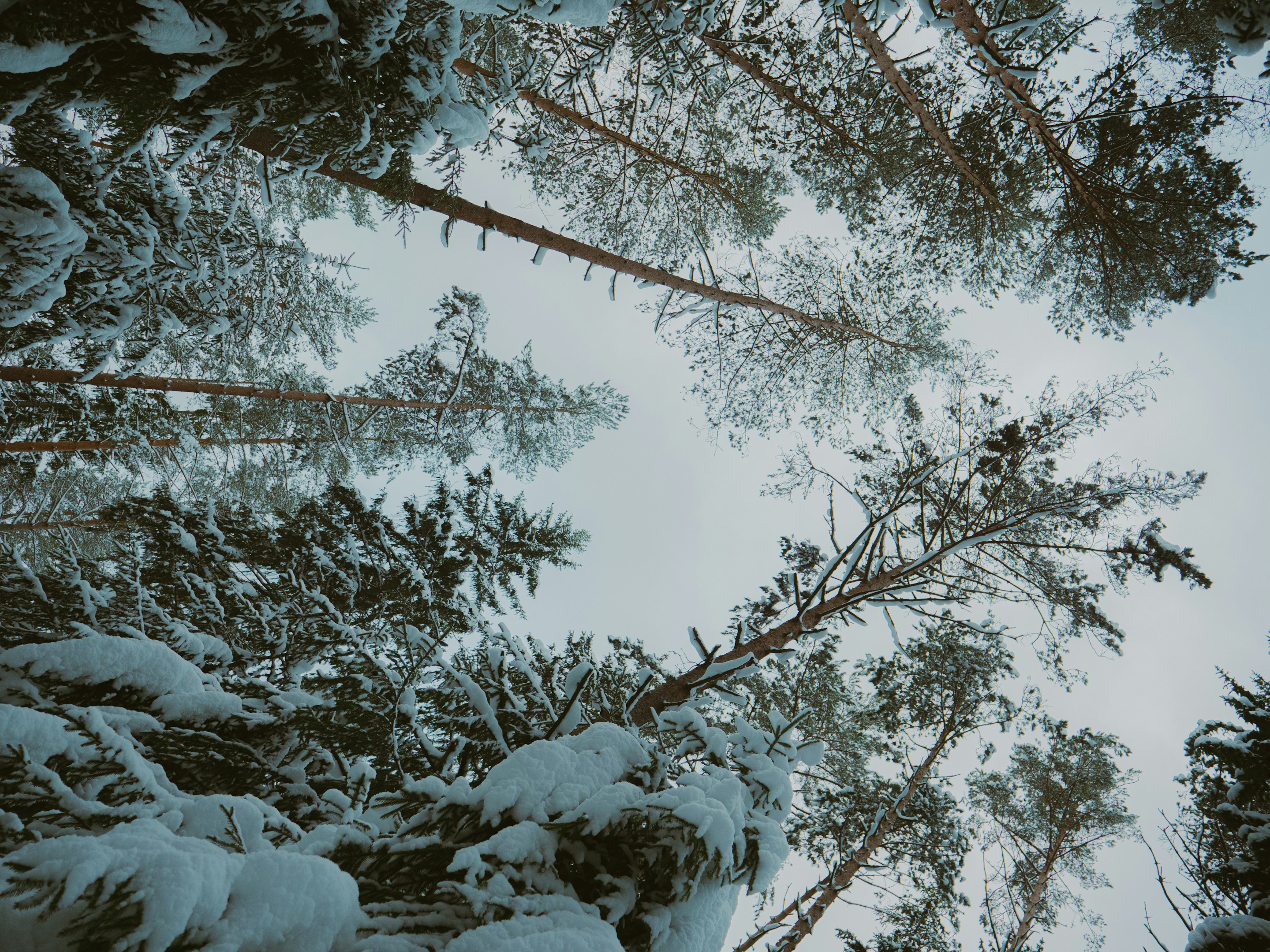 VOGUE風30の質問答えてみた