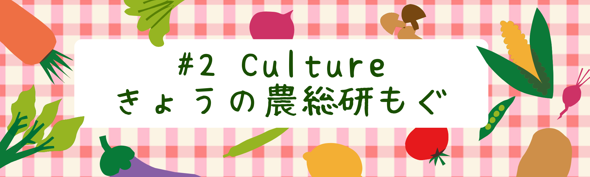 🍊今日の農総研もぐ🍊