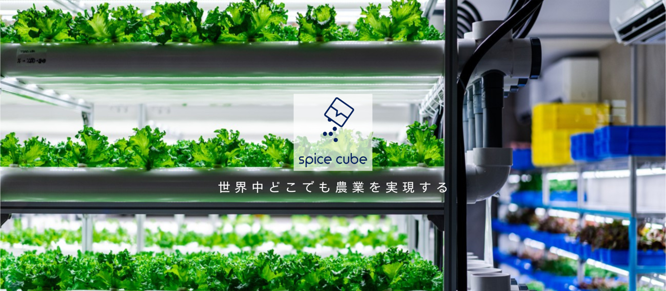 \\  4人目、まだまだ募集中  //