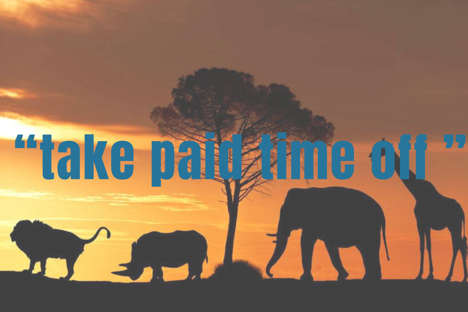 有給休暇の本来の使い方はこれだ！年末アフリカに旅立つ社員の話🦁