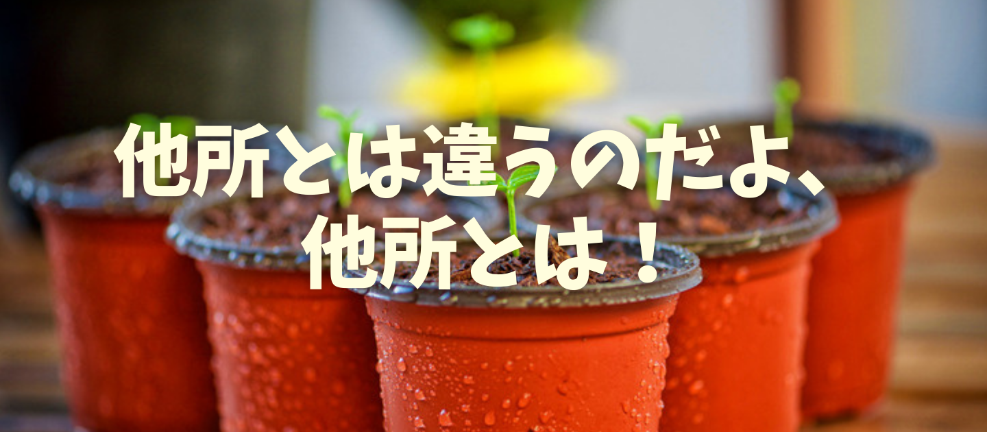 新人営業の歩合は上司が稼ぐ！？-埼玉相互住宅の営業スタッフが定着しやすい５つの理由-