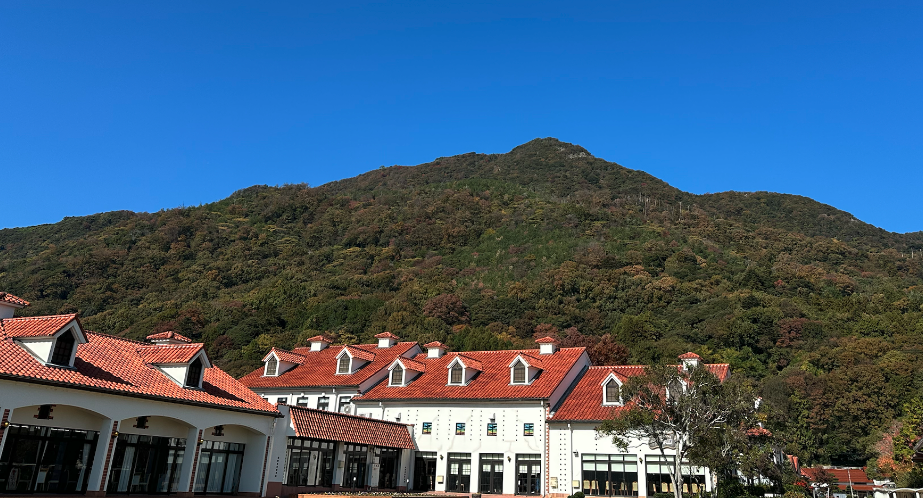 【出雲】はじめての"しまね和牛"