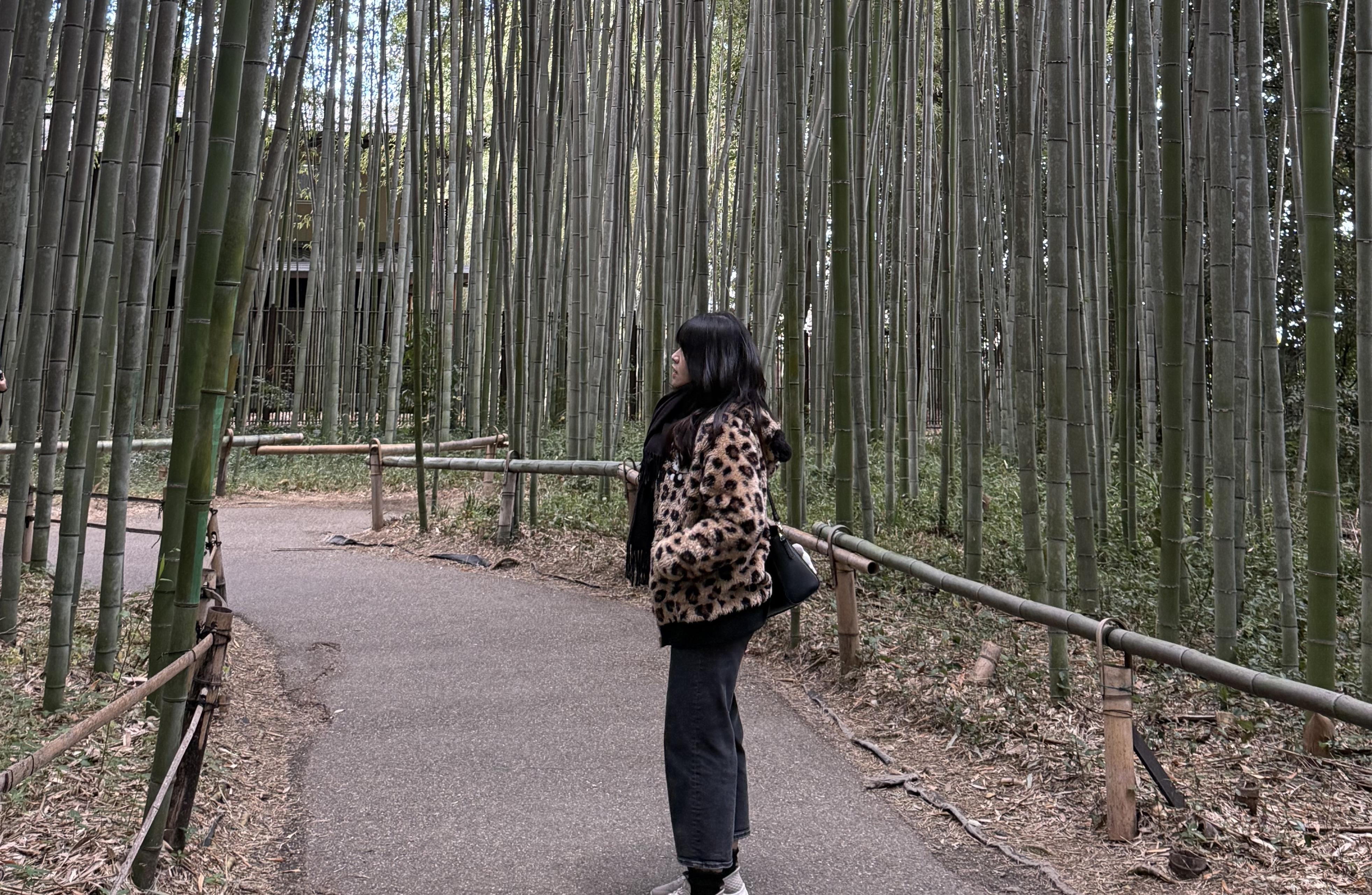 What working in Japan taught me about systems, communication, and “invisible frictions.”