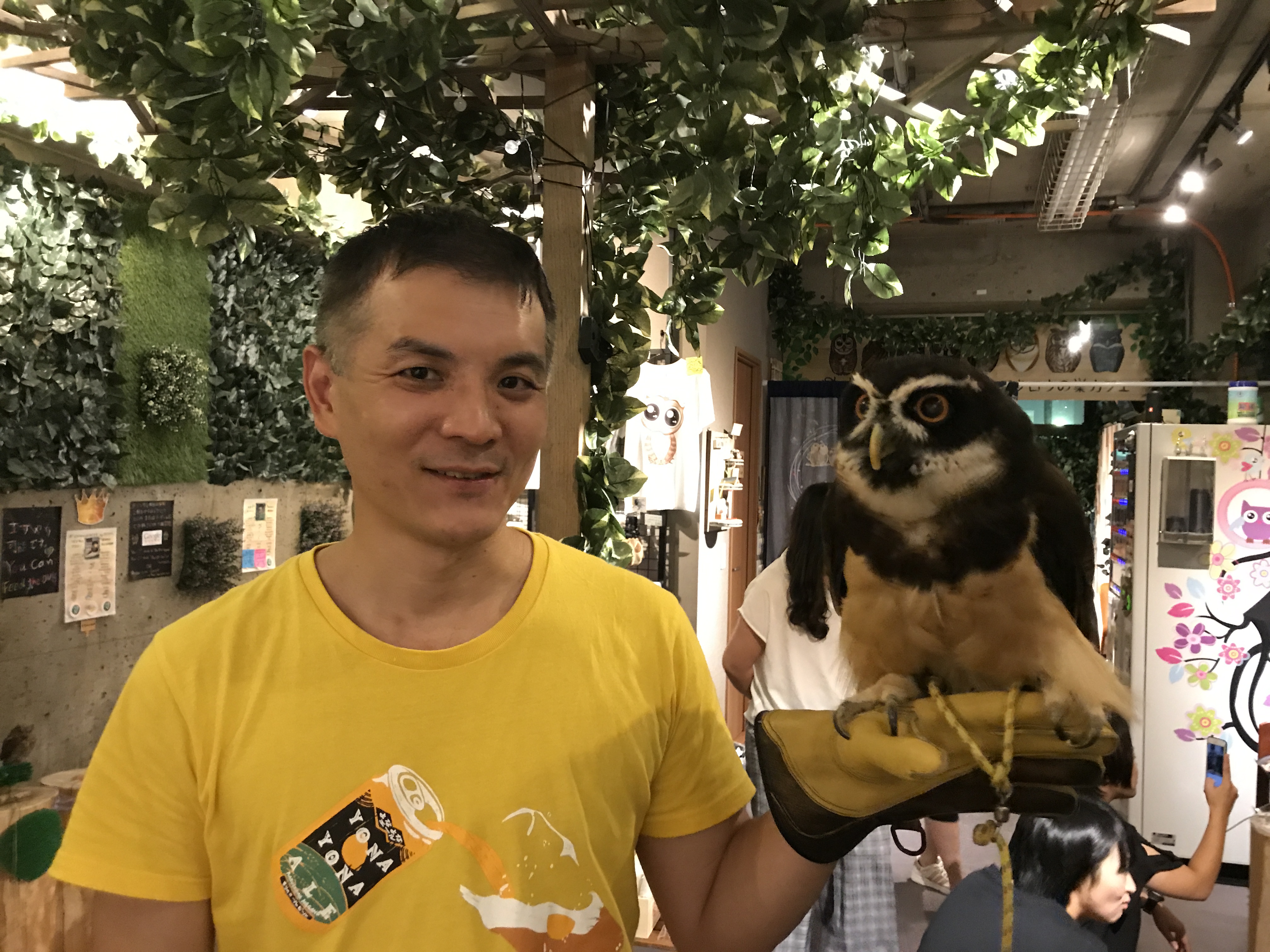 私について~負けるが勝ち？~