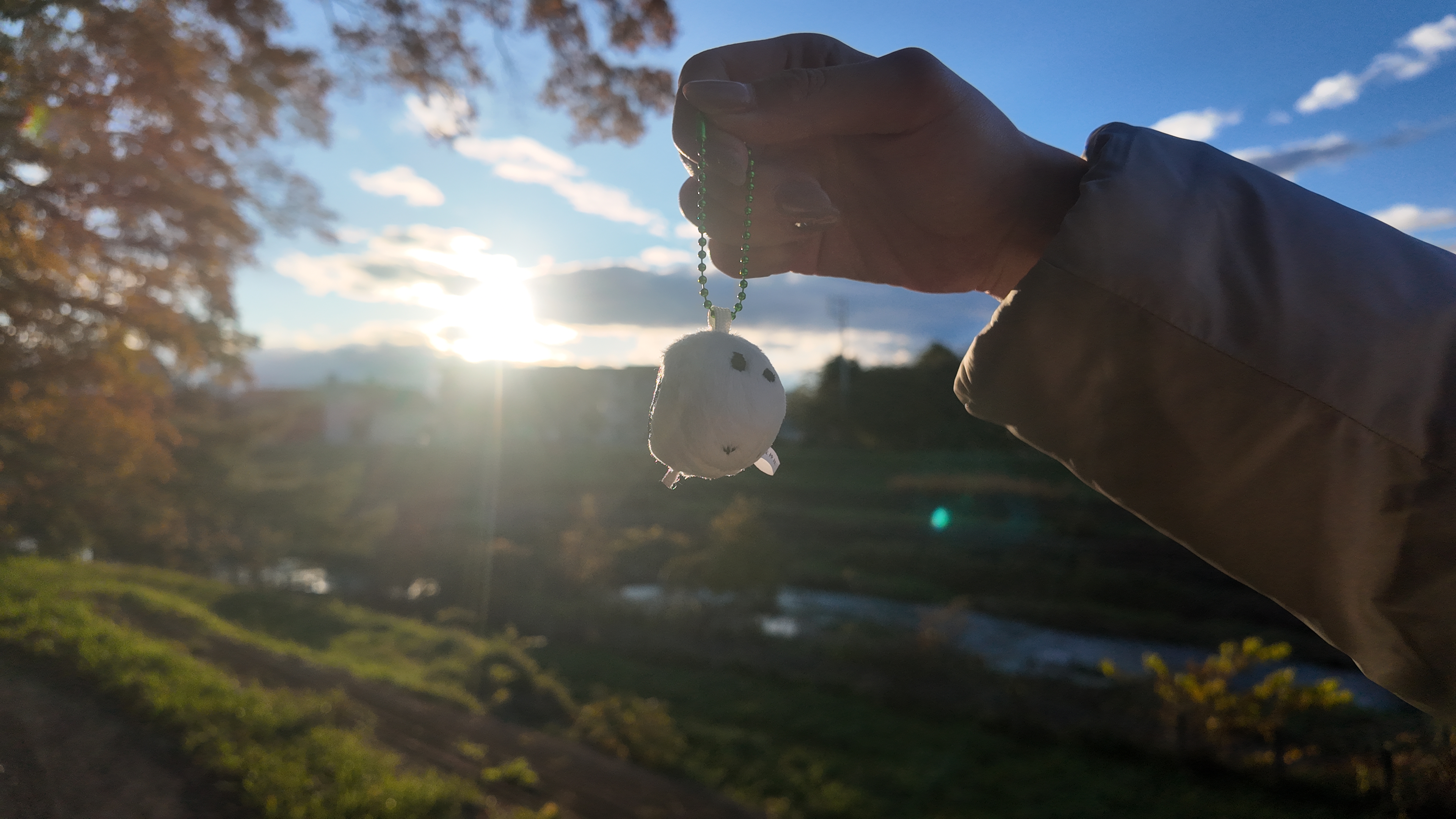 帯廣神社の授与品がアツい！「自然界隈がハマるワケ」