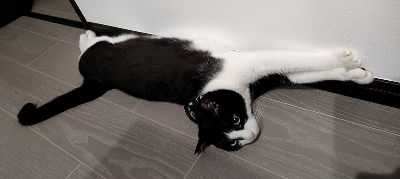 【2025年12月】第一回 勝手に社内調査！