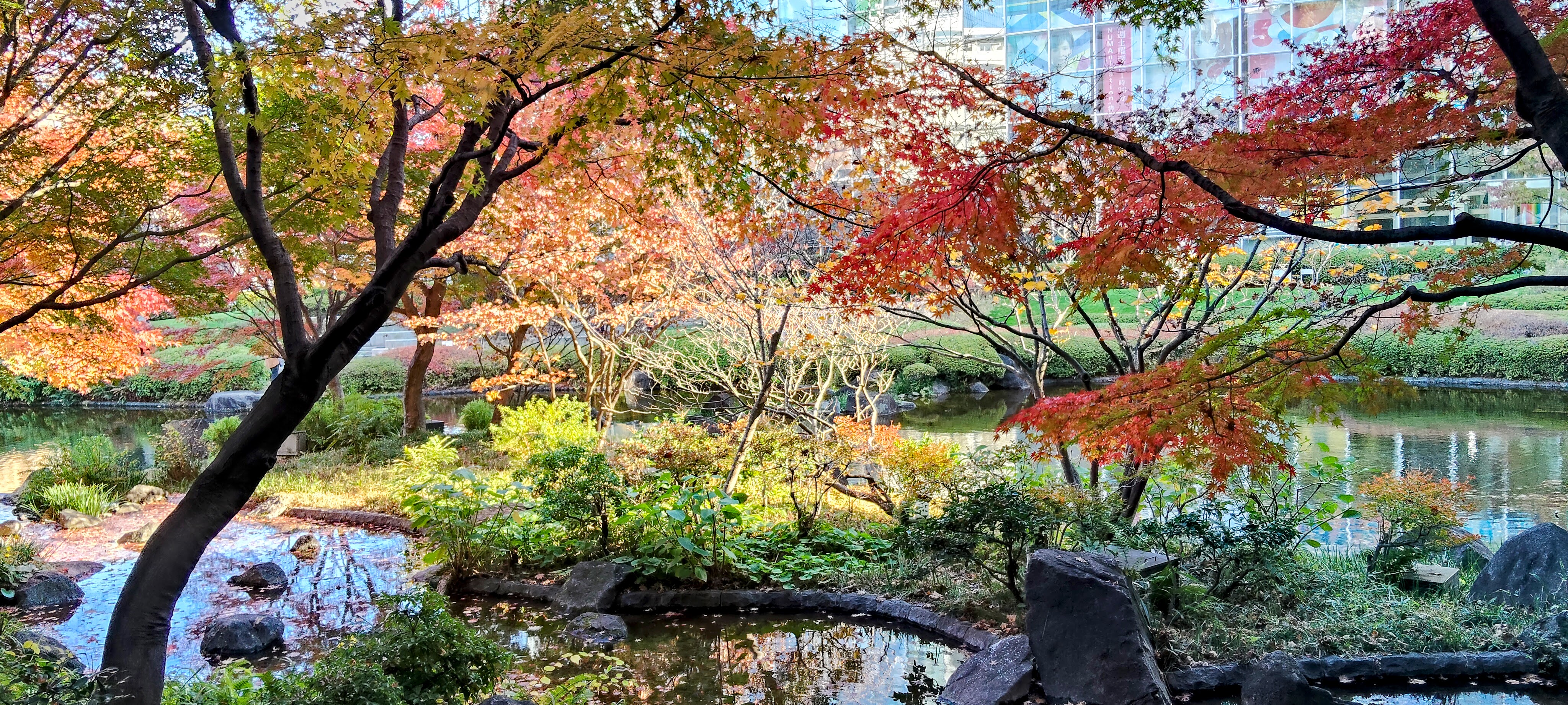 秋の思い出/Autumn Memories