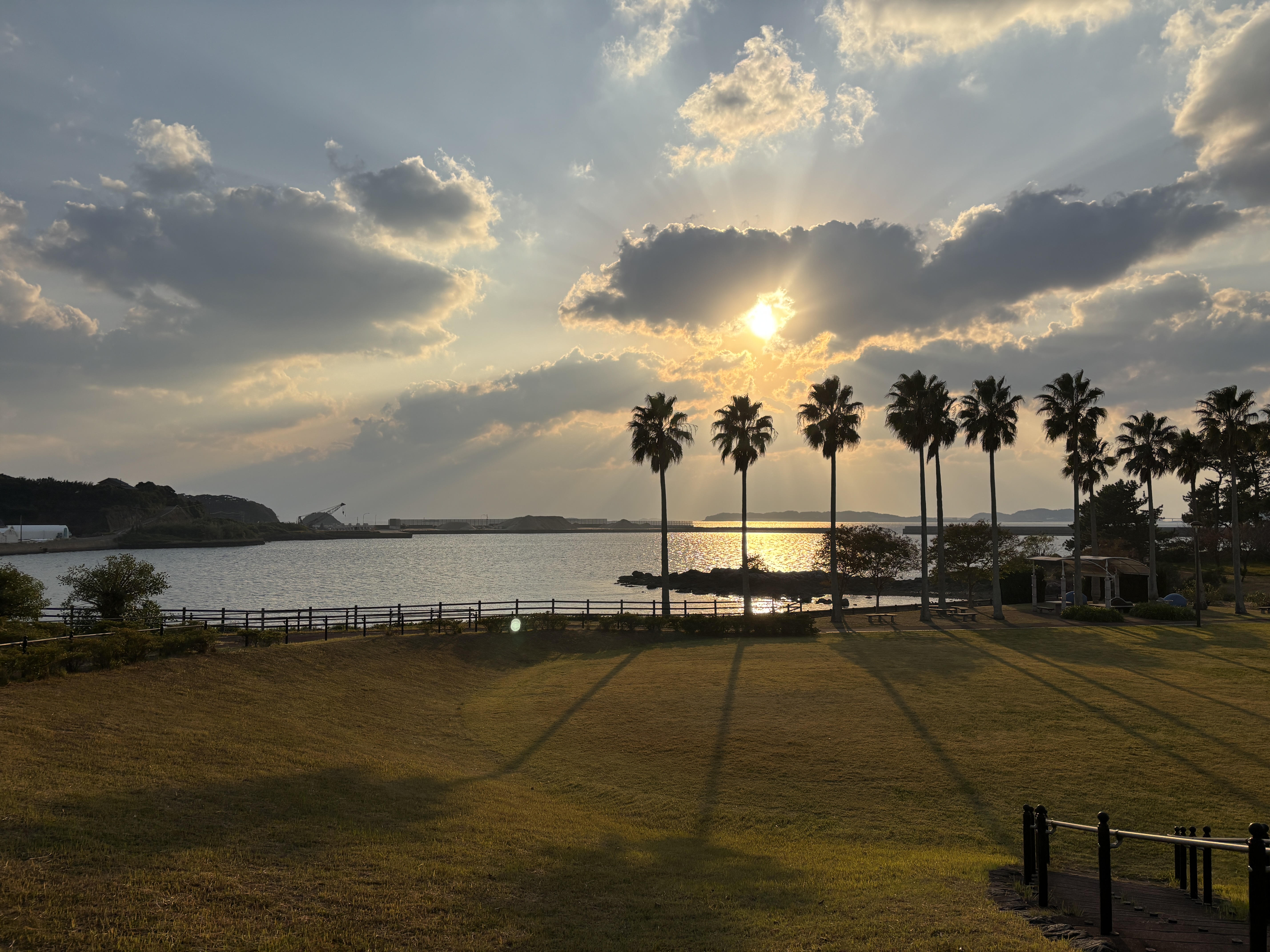 【ワーケーション体験レポート】壱岐島で 「仕事と釣り」を全力で楽しんできました