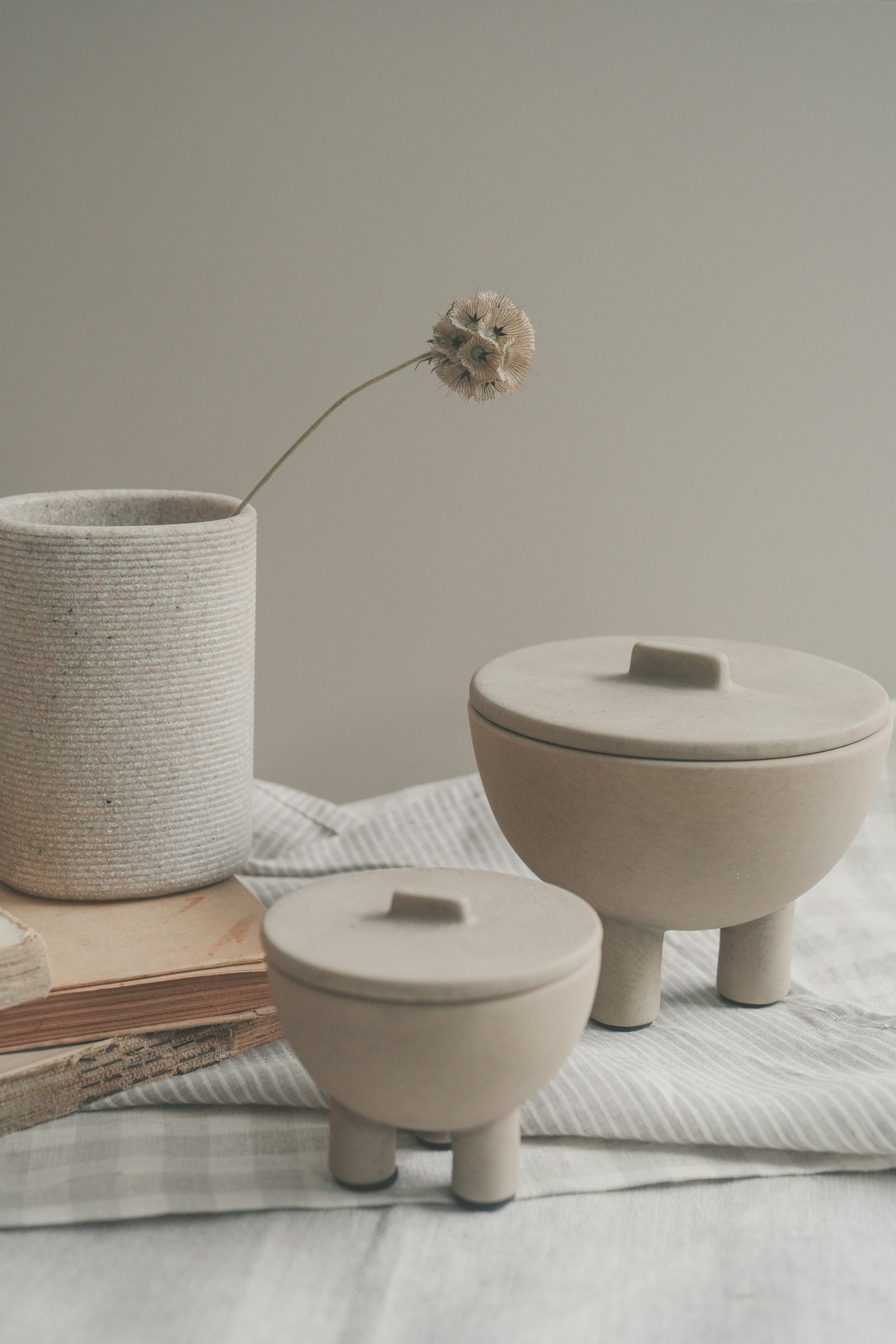 【25歳の節目に、人生設計を見つめ直すということ】～なんで動物福祉なの？～