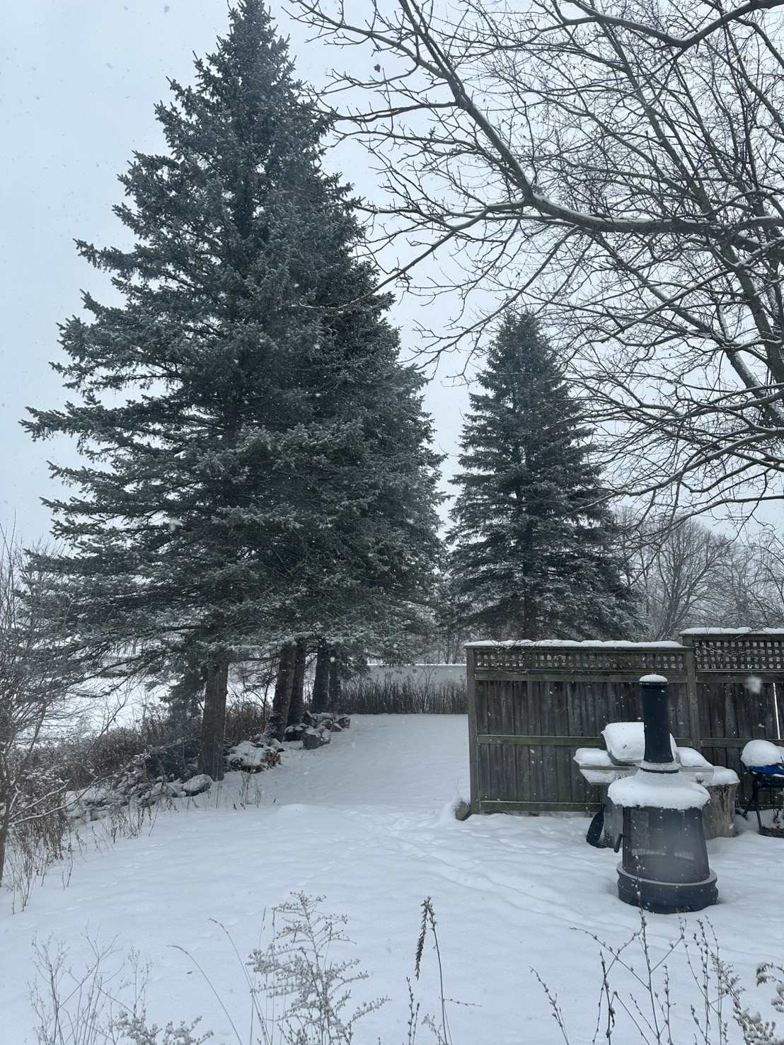 新発想が資金を呼ぶ：精神疾患治療・後払い決済・原子力で巻き起こるうねり