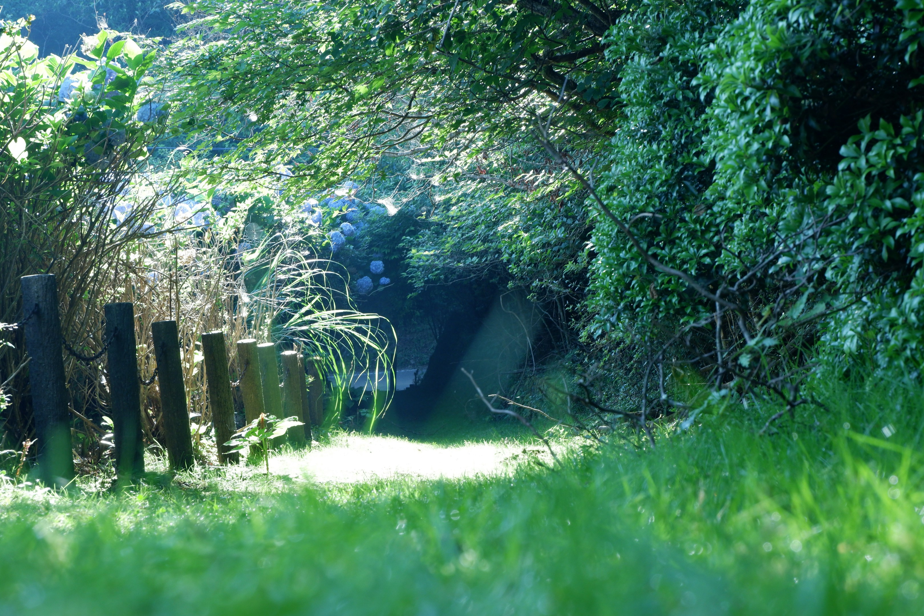 【第３位 】2025年 HT５大ニュース / 小笠原サーキューレーション・エコノミー　BONINIANSブランド始動