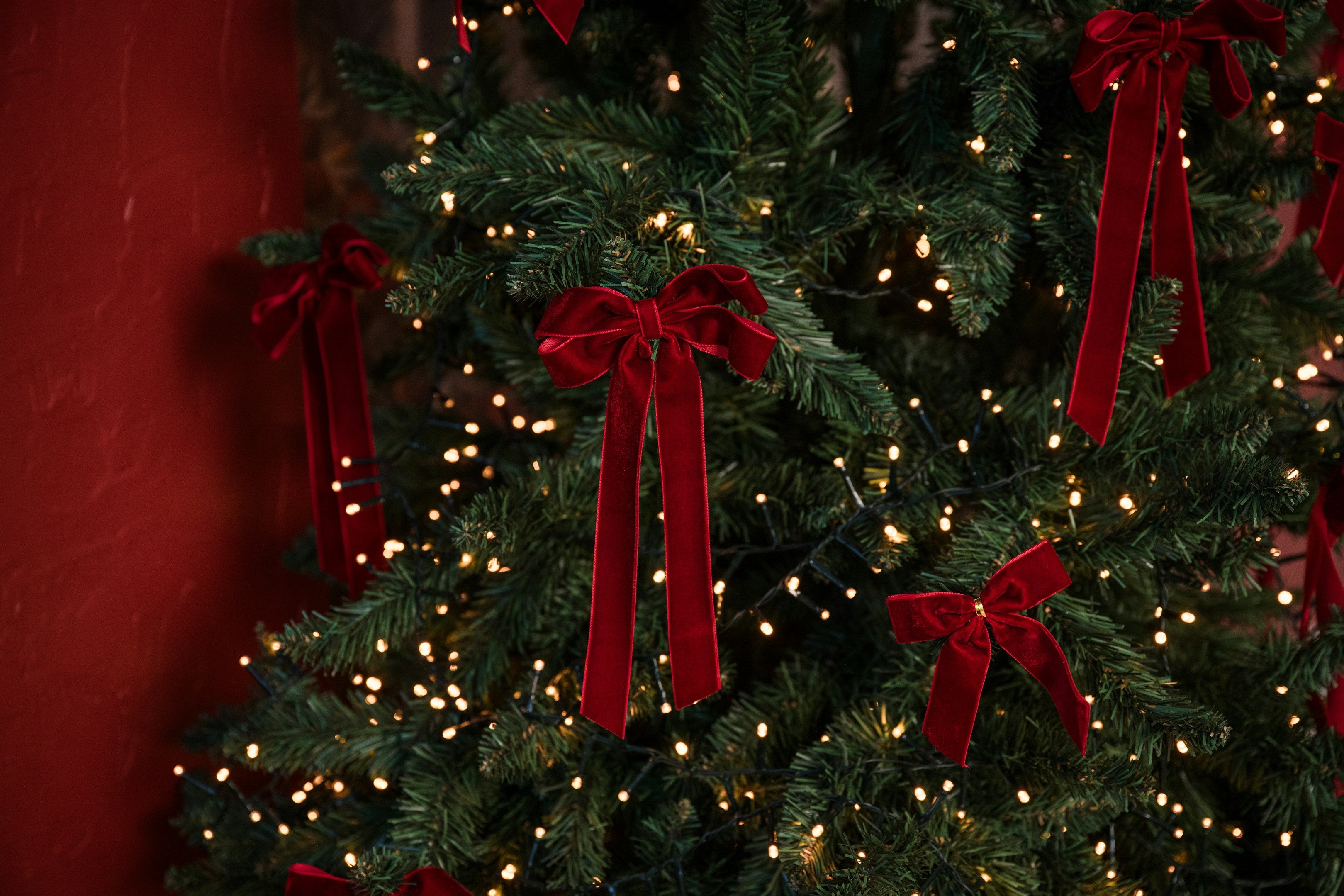 【社内交流】クリスマス気分の社内紹介🎄