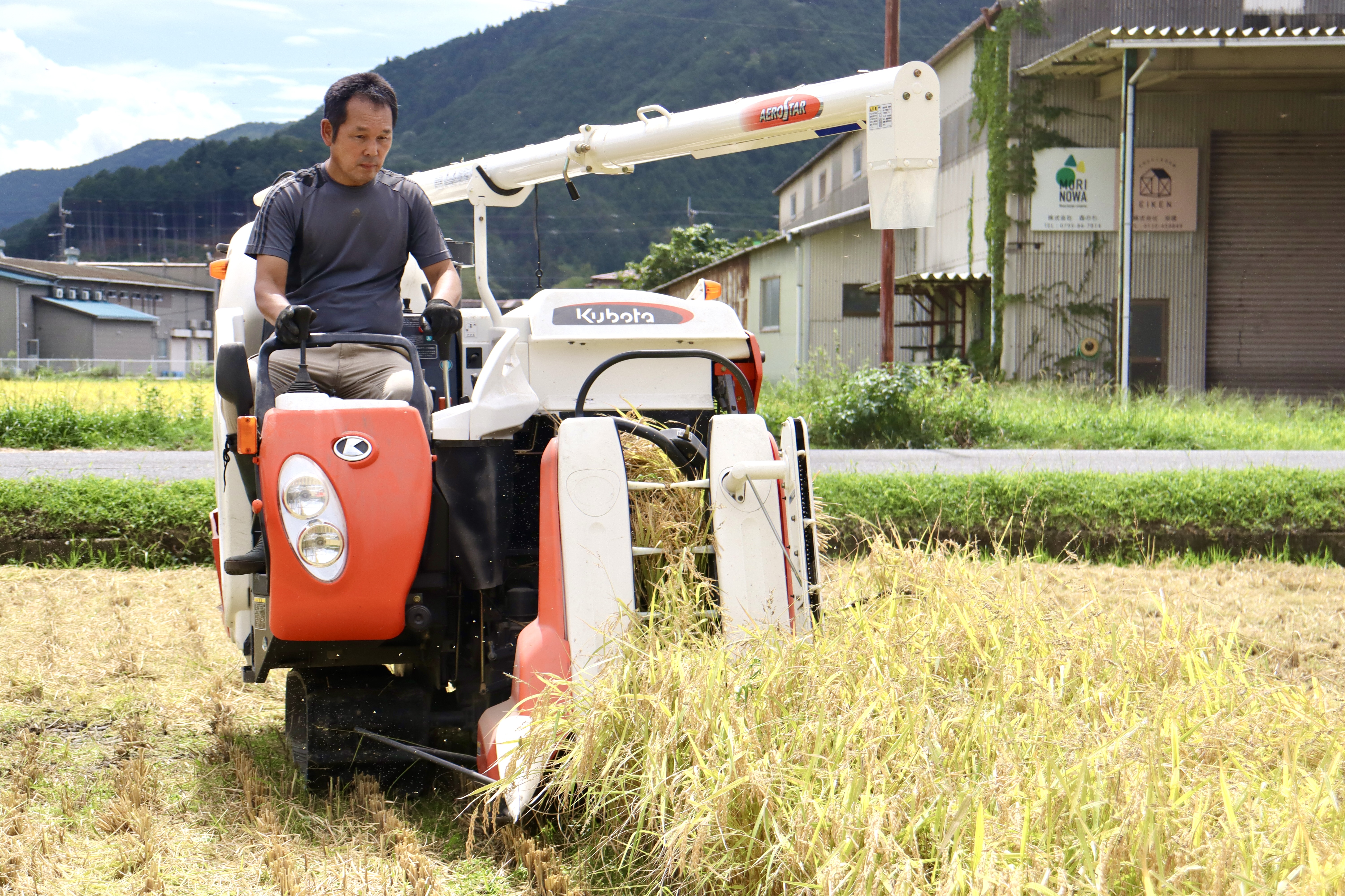 【福利厚生はお米!?】来春「農業部」始動！森を育てる私たちは、なぜ田んぼを耕すのか。