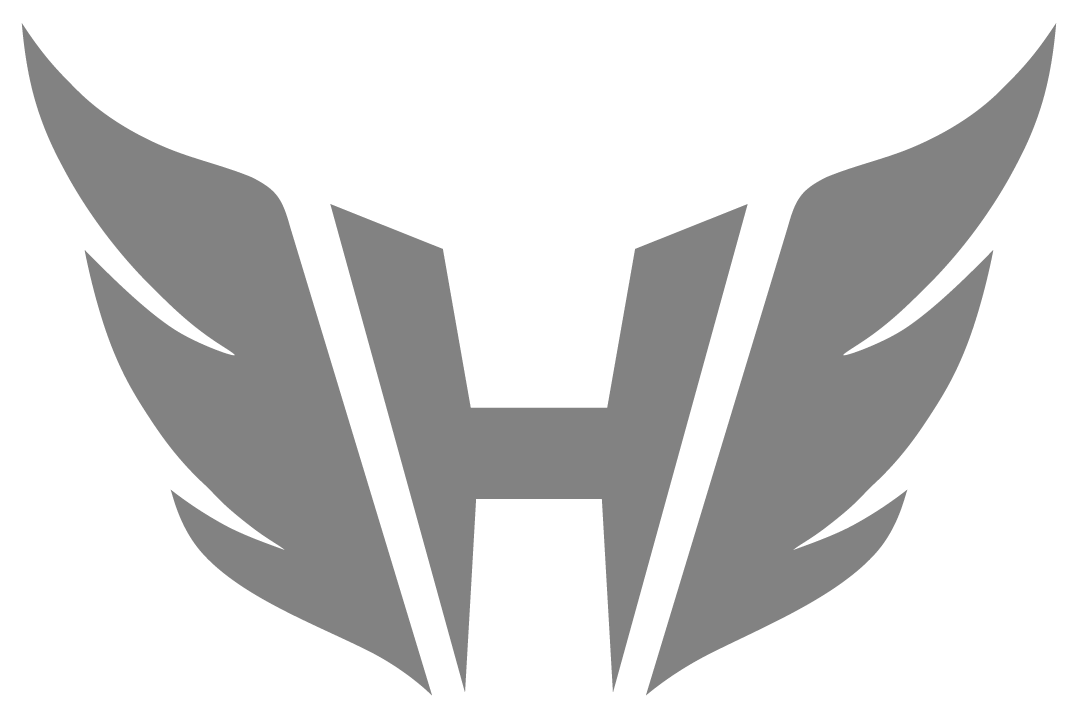 体操で、日本の価値を高める。—なぜ、いまプロチームなのか