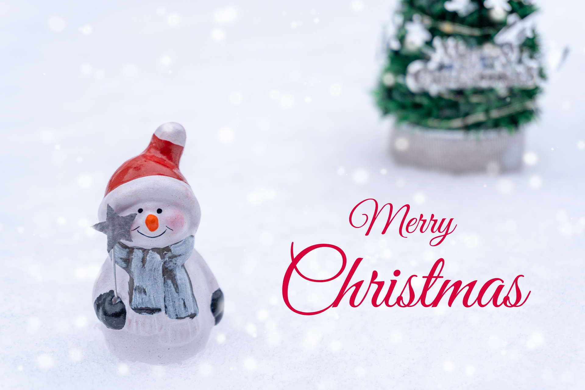 Merry Christmas and A Happy New Year！