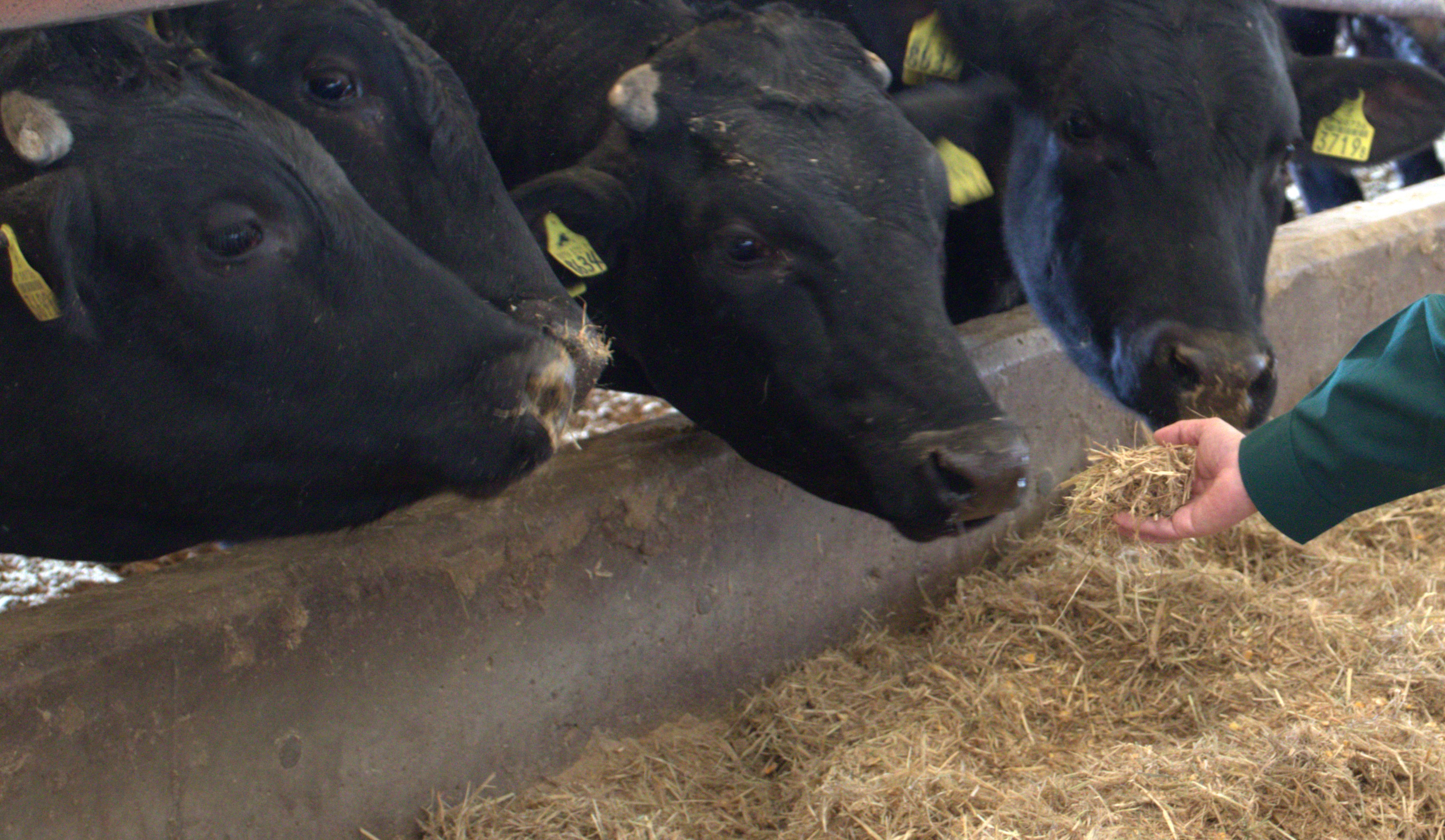 生産者の想いを、売り場へ。食の川上から川下までつなぐ仕事【社員インタビュー#04】