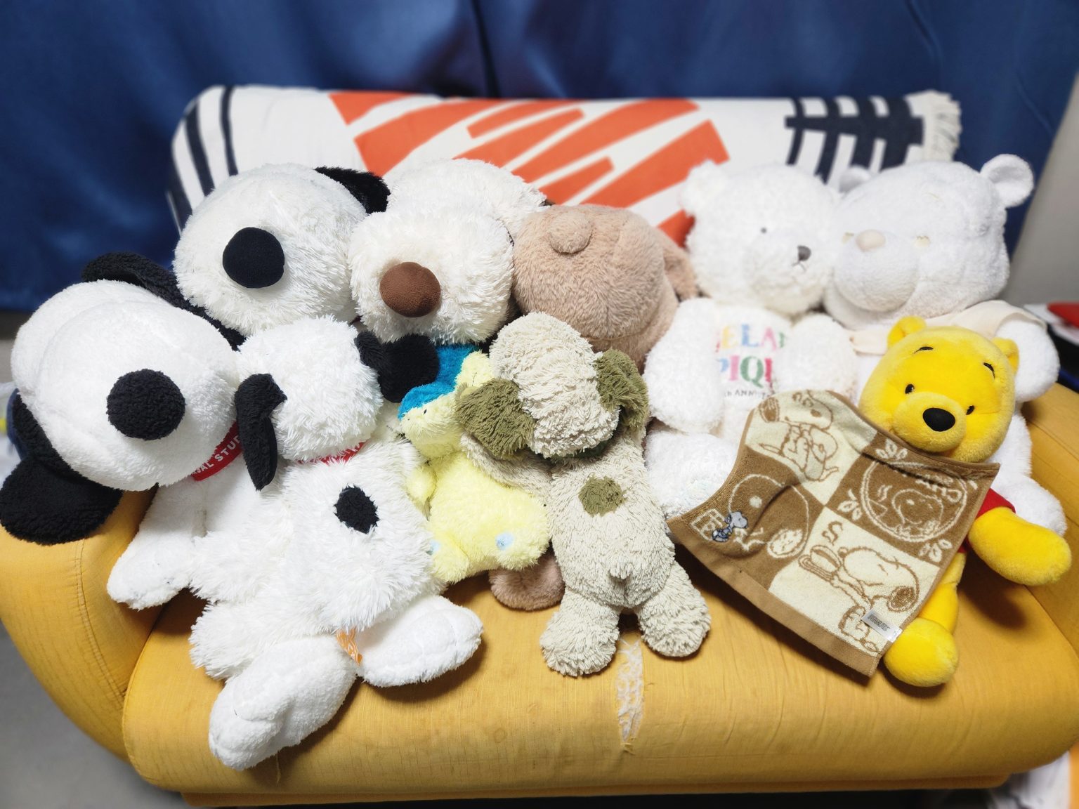 毛布より発酵。スヌーピーもびっくりの“冬の整えごはん”