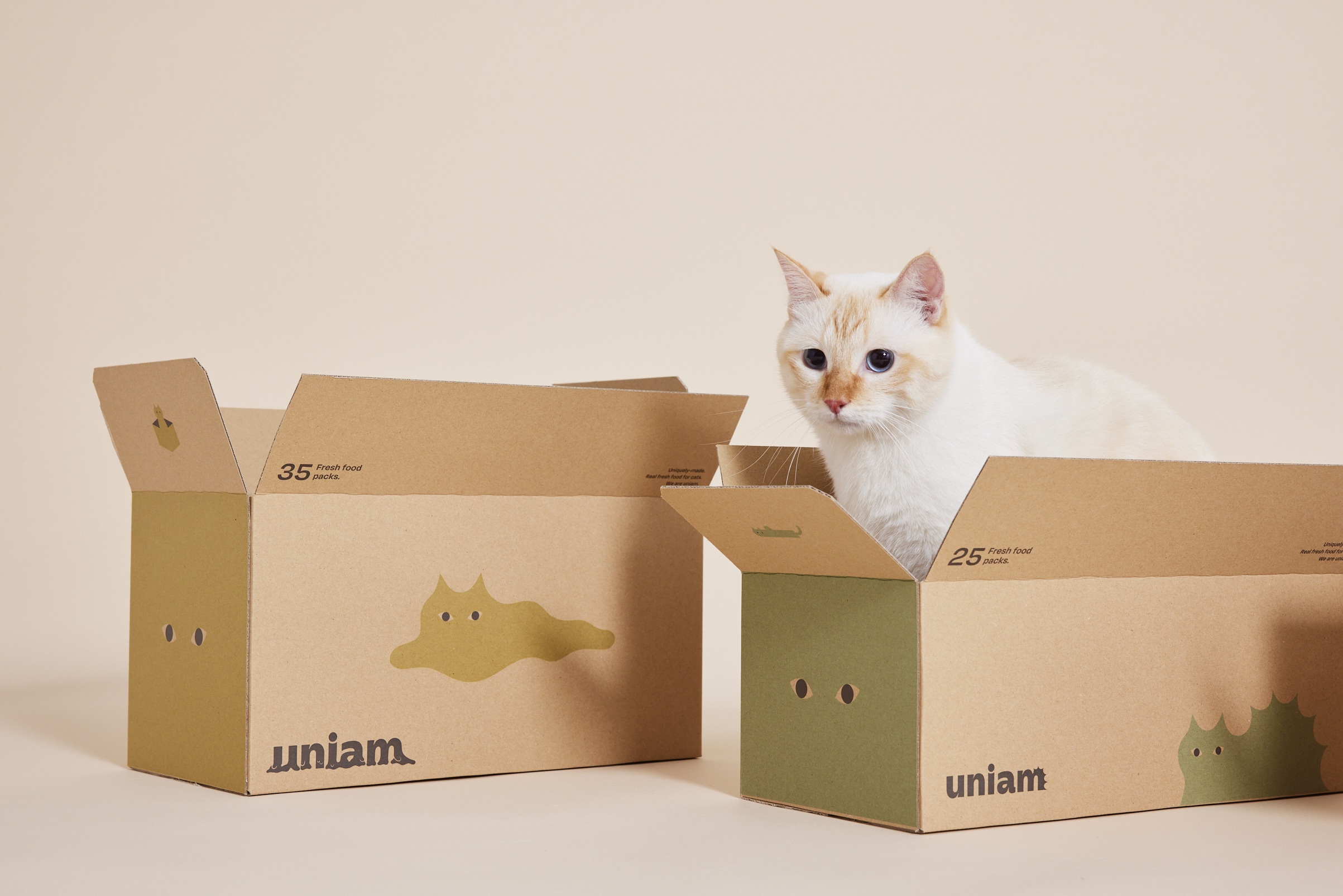 【代表対談】ANOBAKA・小田 紘生さん「ねこと生きるを、もっとユニークに── uniamが拓く“ねこの健康寿命”への挑戦」