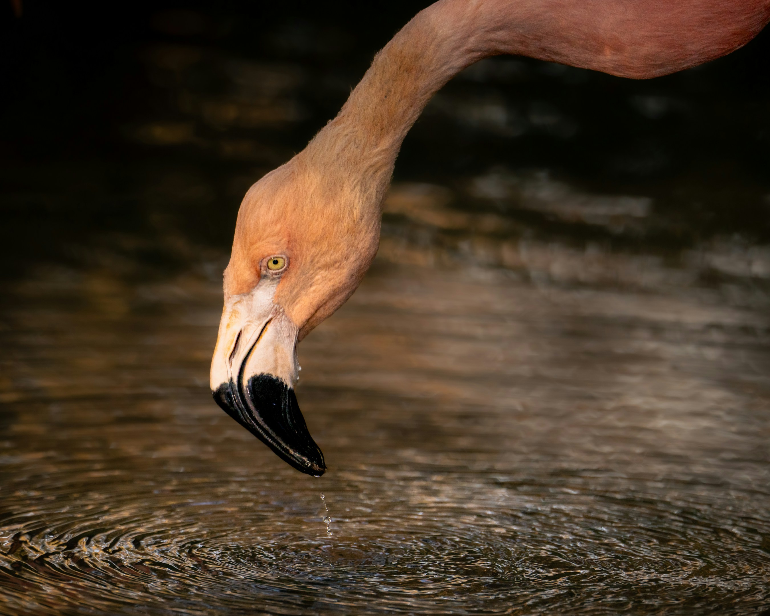 佐保亜都夢｜10年間でクライアントから学んだこと。マーケターは"聞く力"が9割