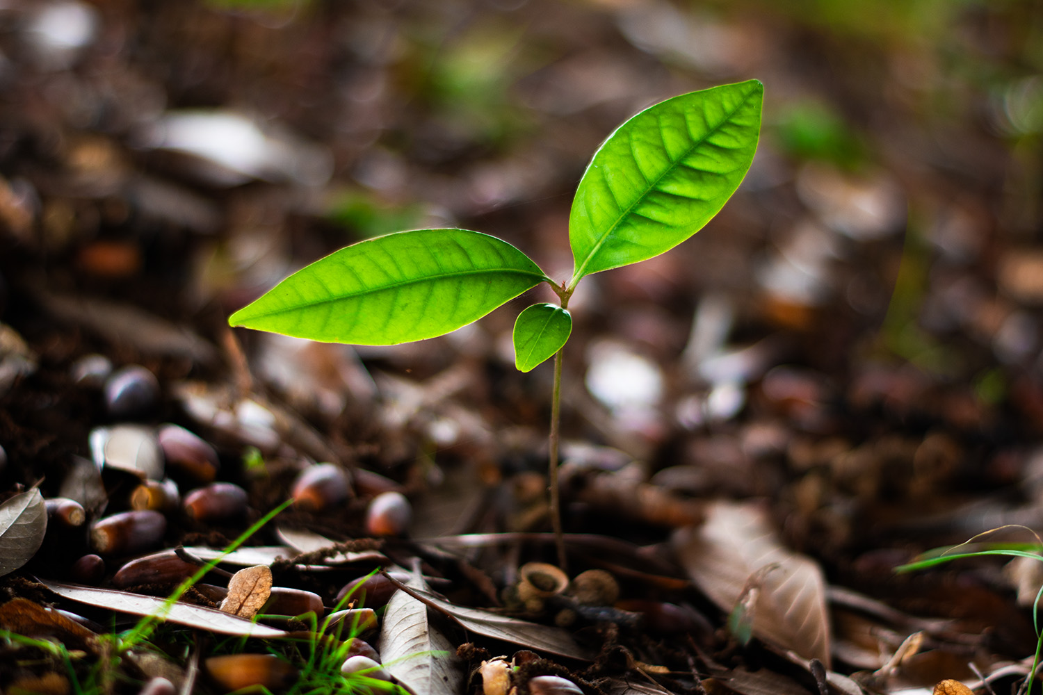 30代でウェブ業界を目指して