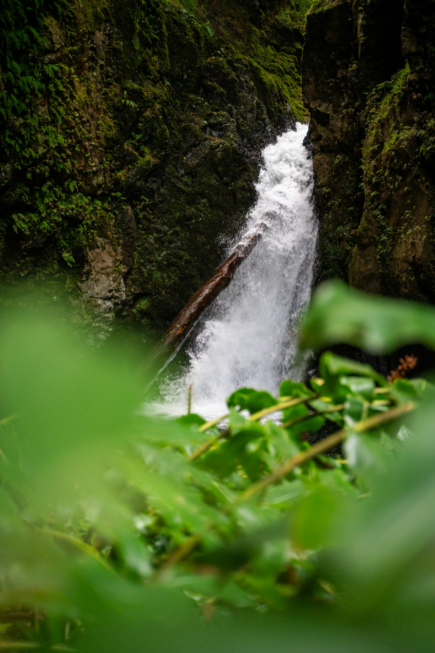 フィットネス×編集×経営という３つを掛け合わせた領域で、世界一になる