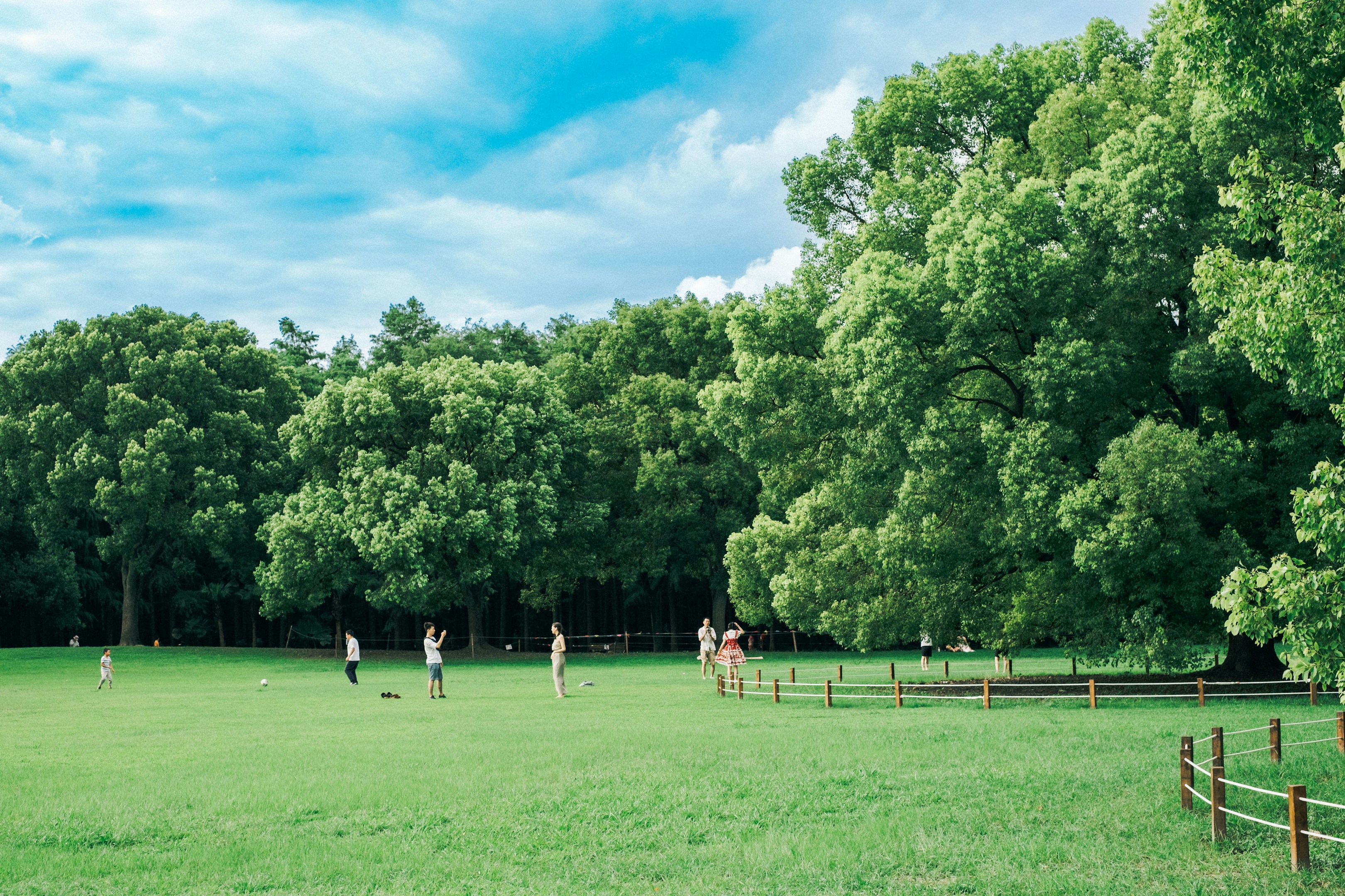 ITも業務も分かる人材へ。未経験からERPエンジニア・コンサルを目指しませんか？