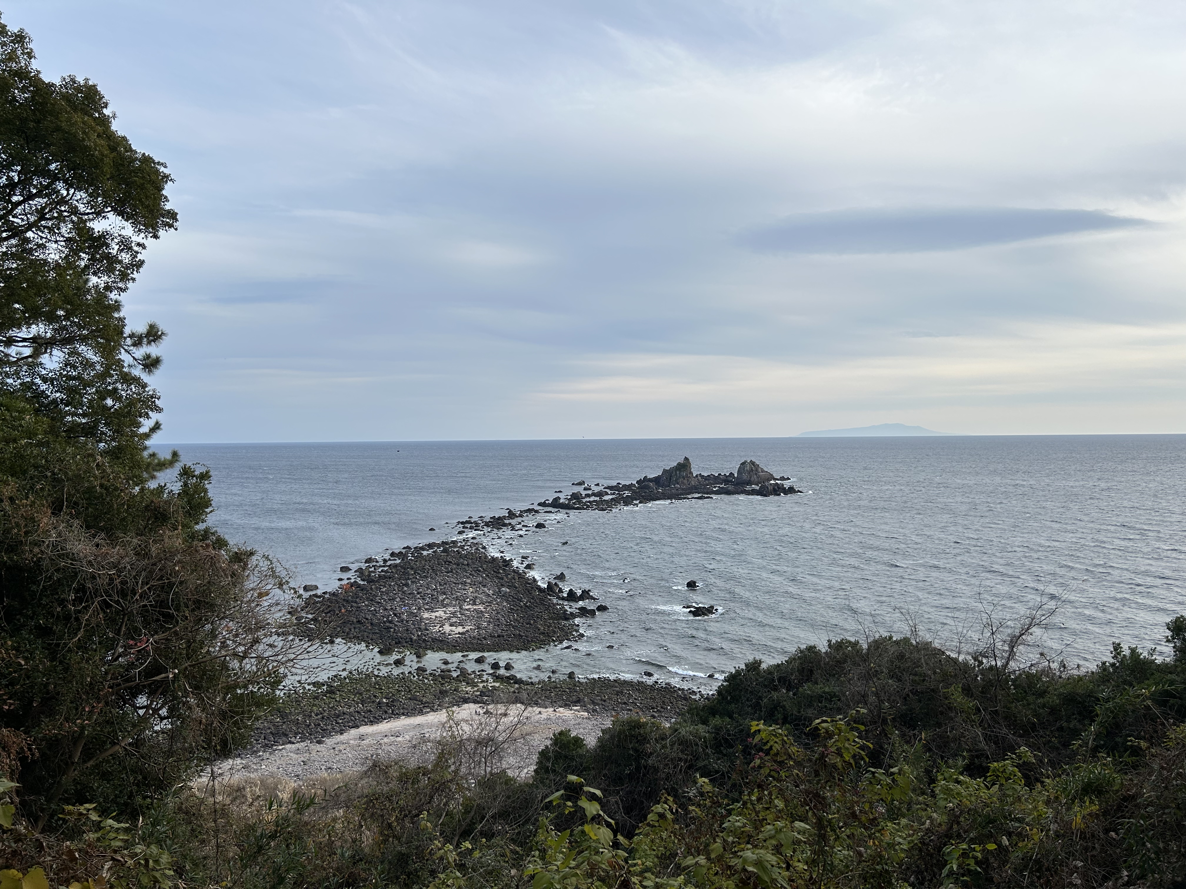 年頭にあたり ～わかって生きるために～